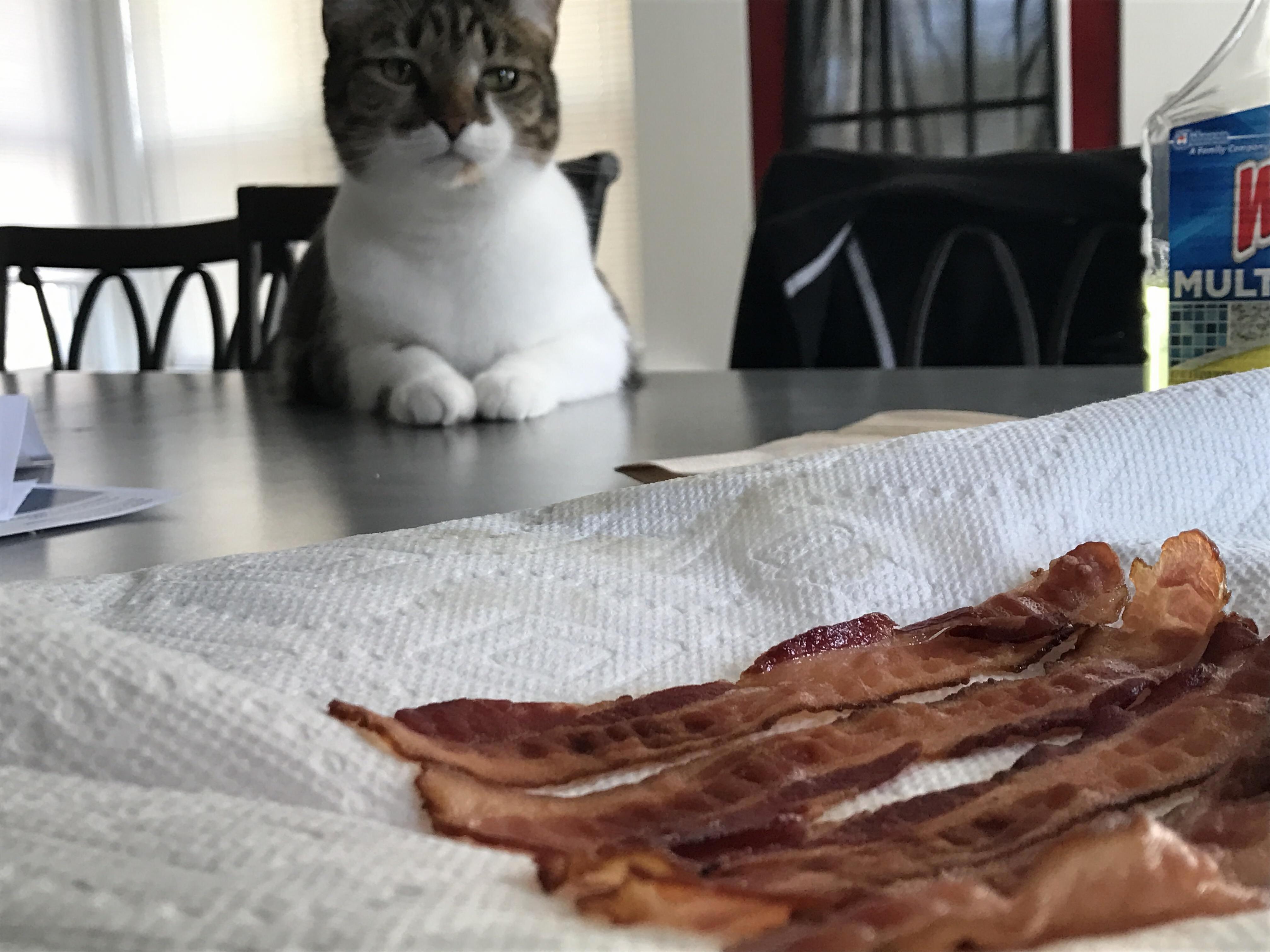 Patiently Waiting for His Portion