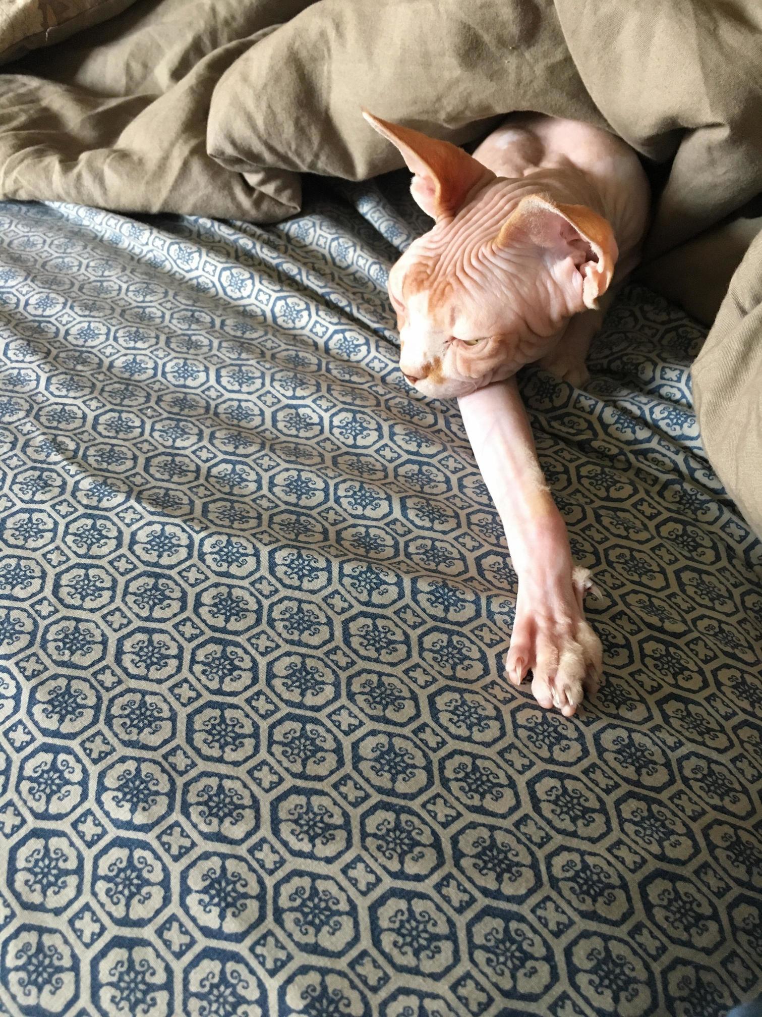 Penelope Looking Fabulous As Always