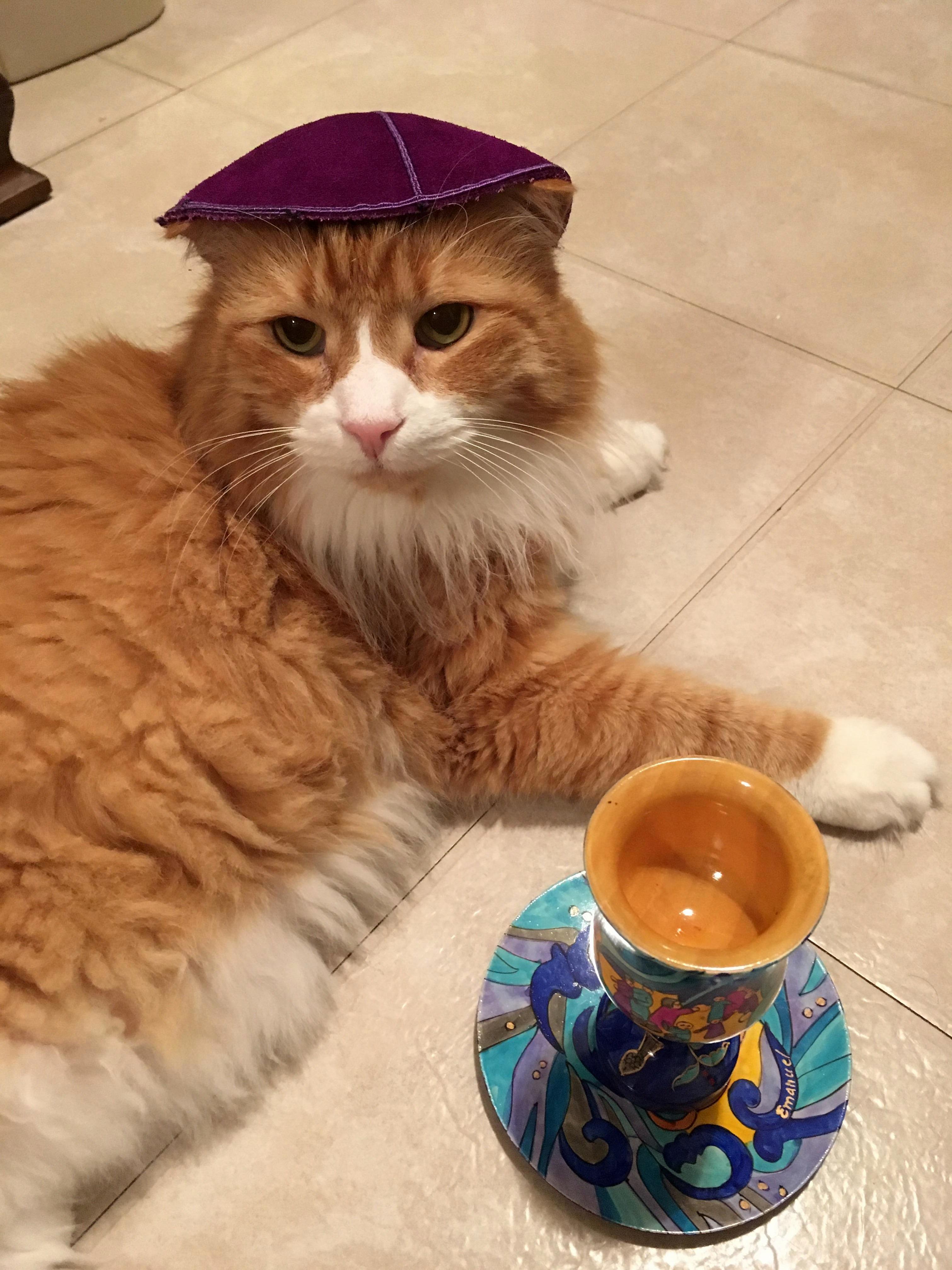 Pesach Sameach to All Who Celebrate