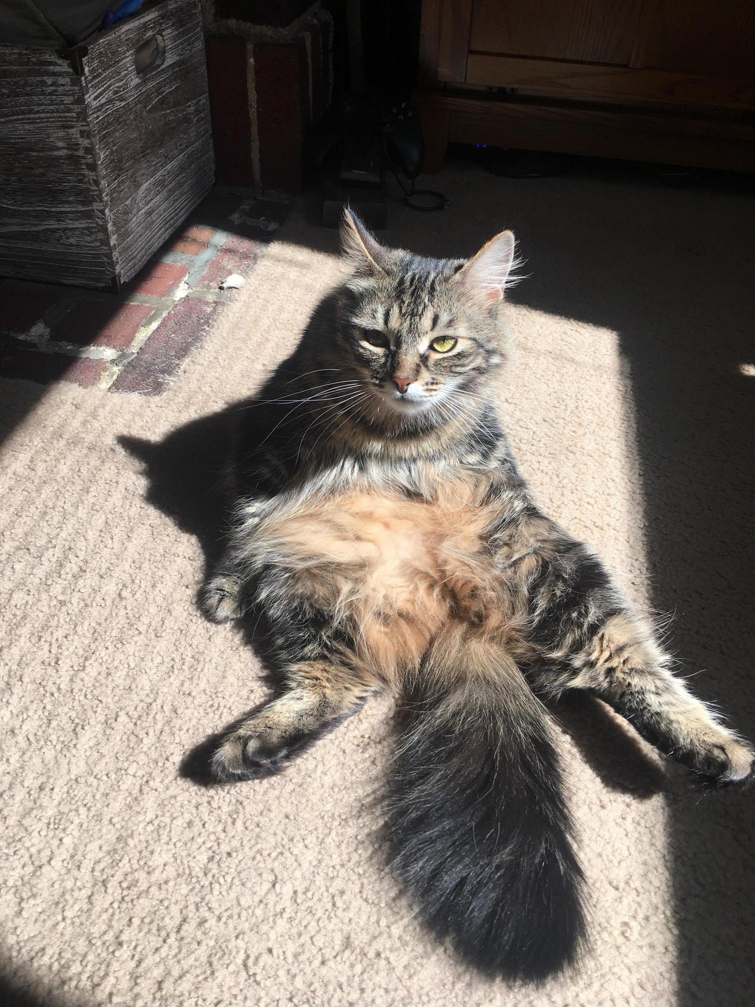 Please Stop Bothering Me