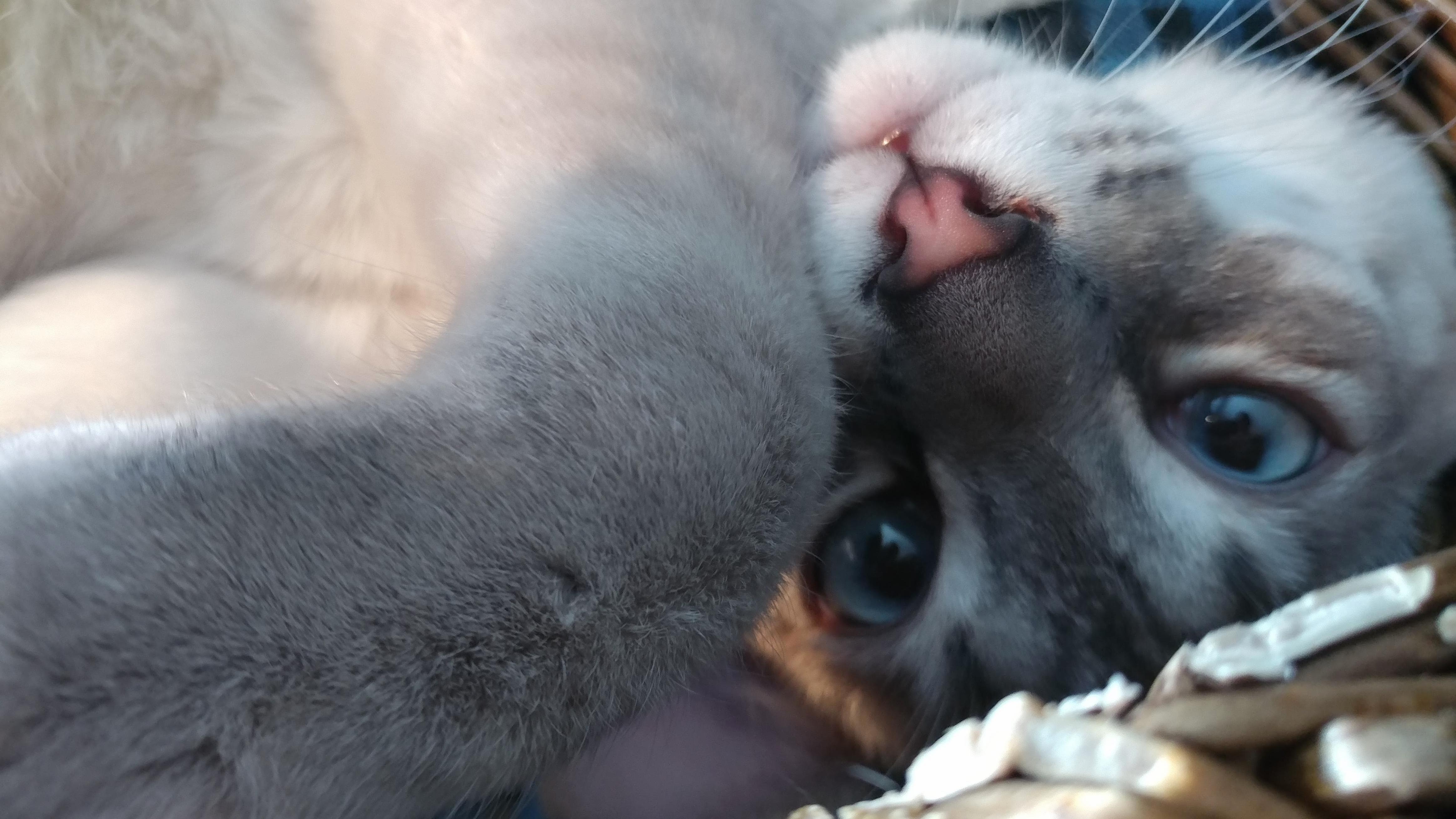 Pretty Boy