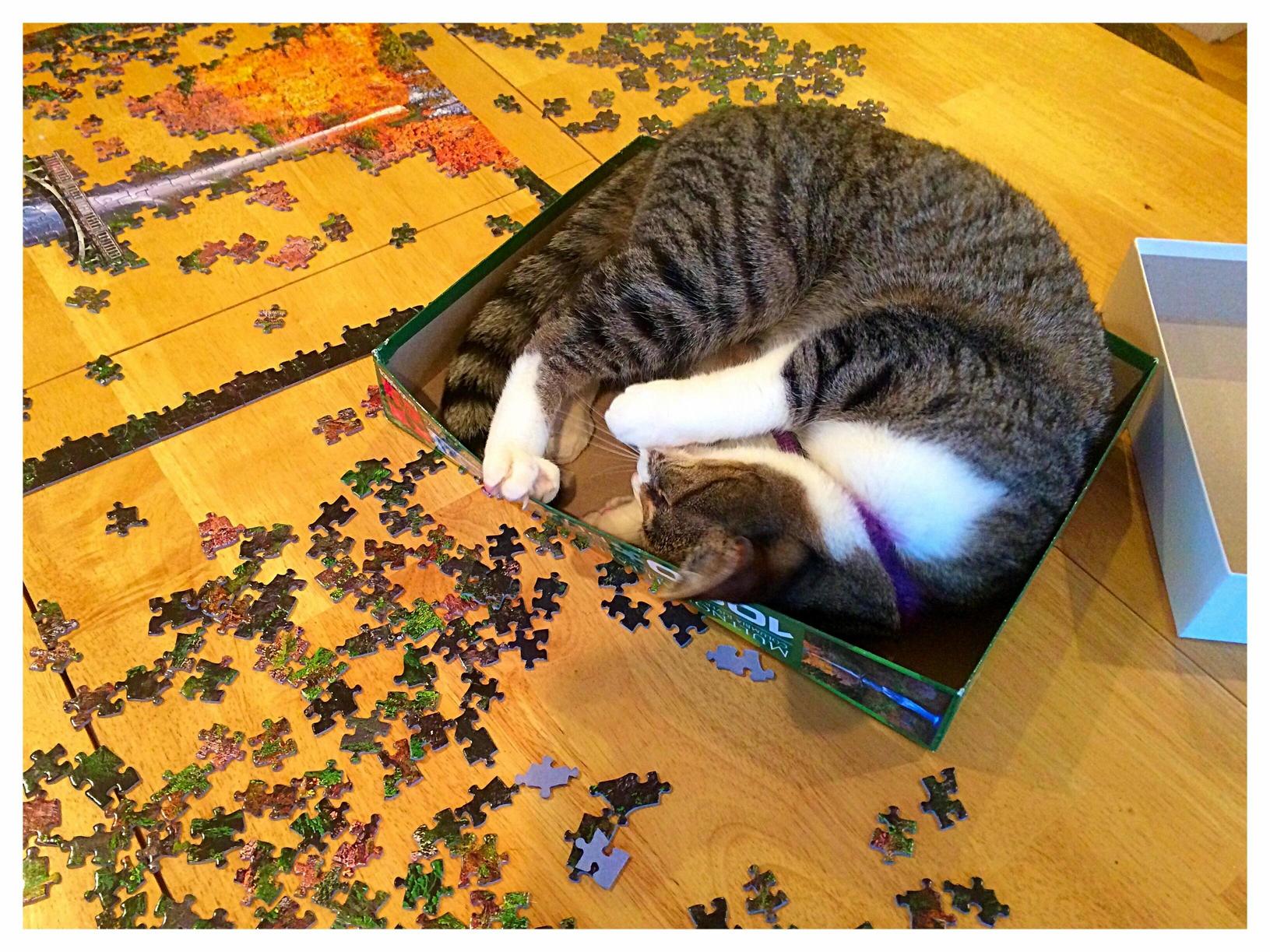 Puzzle Helper Kitty Is Not Very Helpful.
