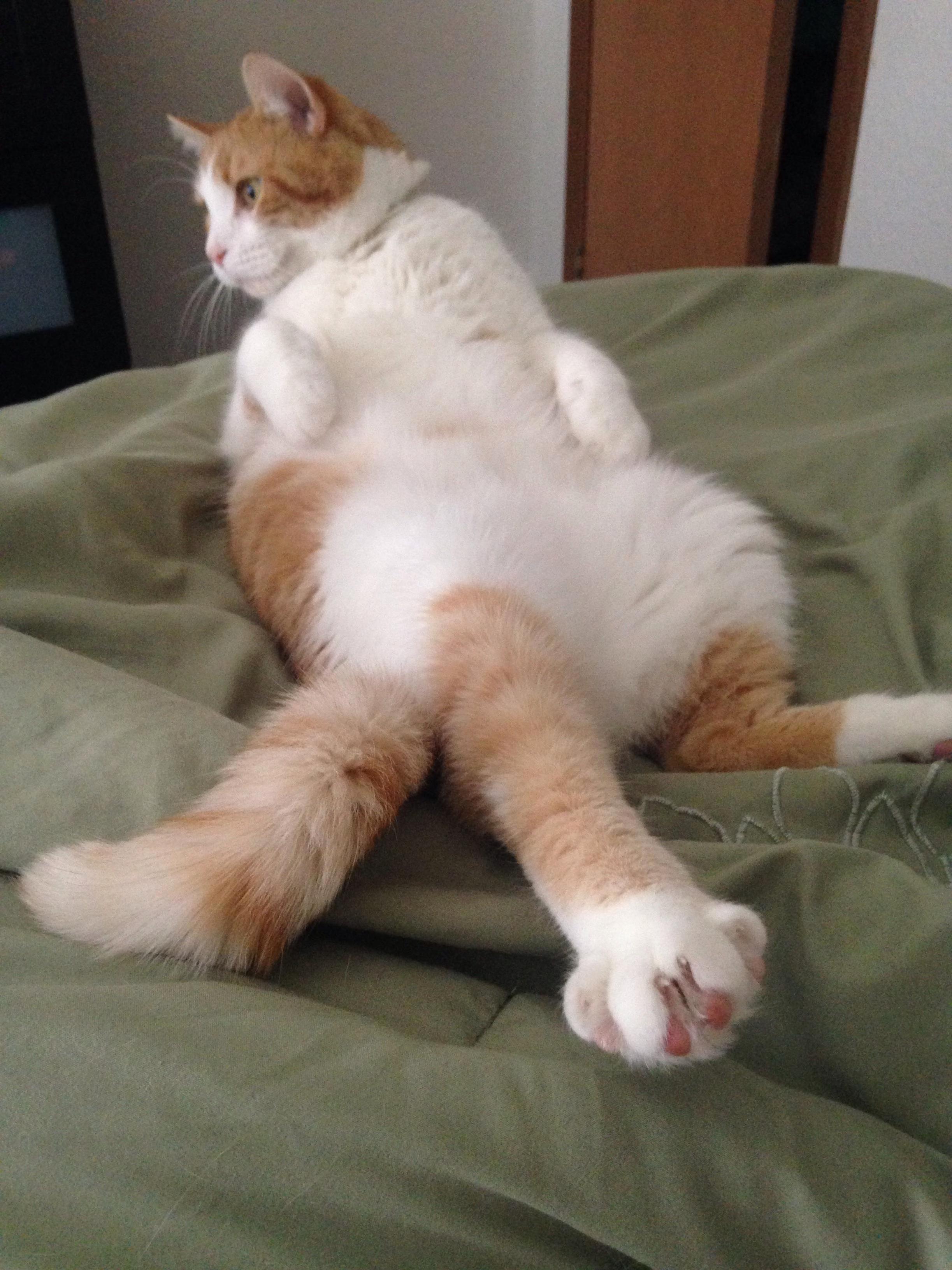 Randy Likes to Give Em the Old Razzle Dazzle.