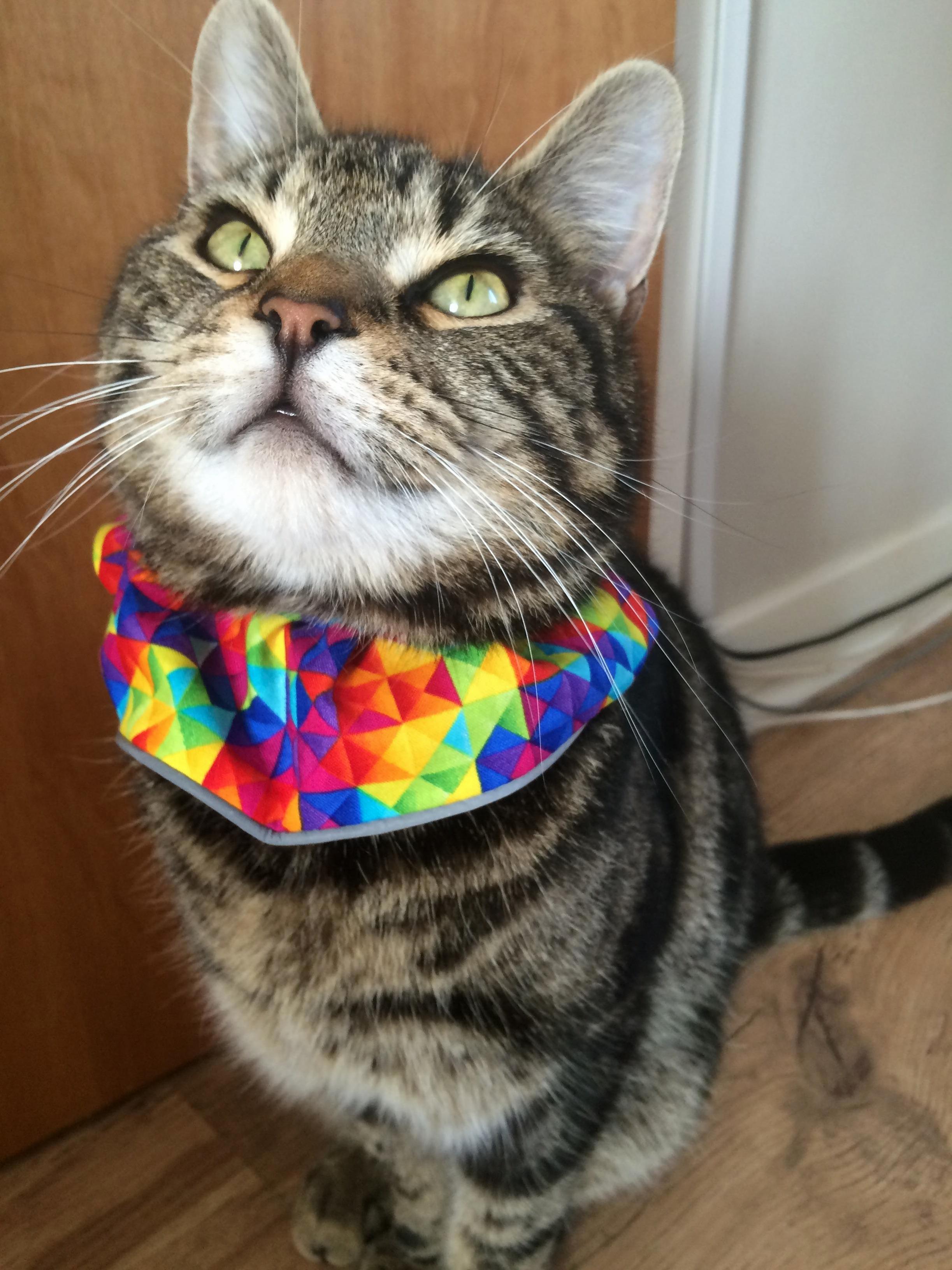 Recently Left Theodore with My Mother After Moving Away. Hes Getting on Fabulously.