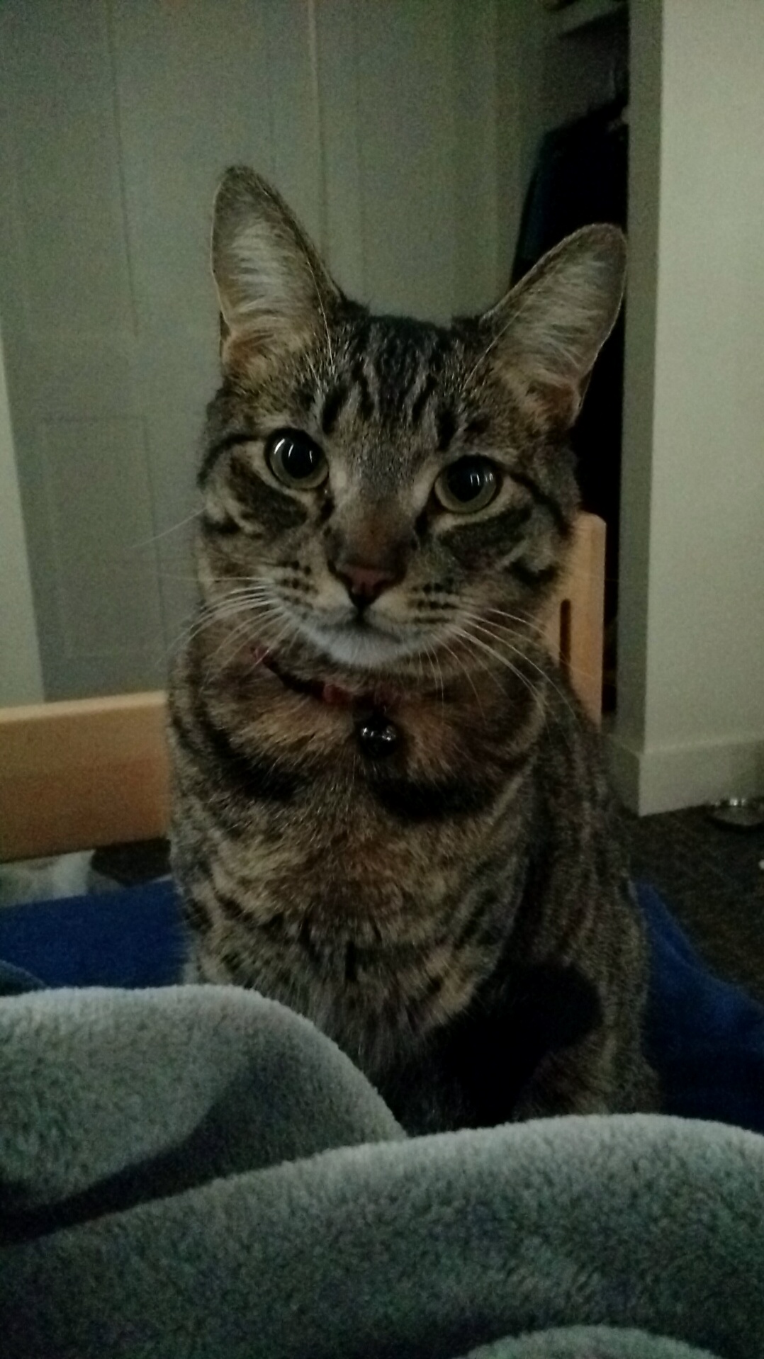 Reginald Is Usually Camera Shy but Today He Posed Pretty for Me.