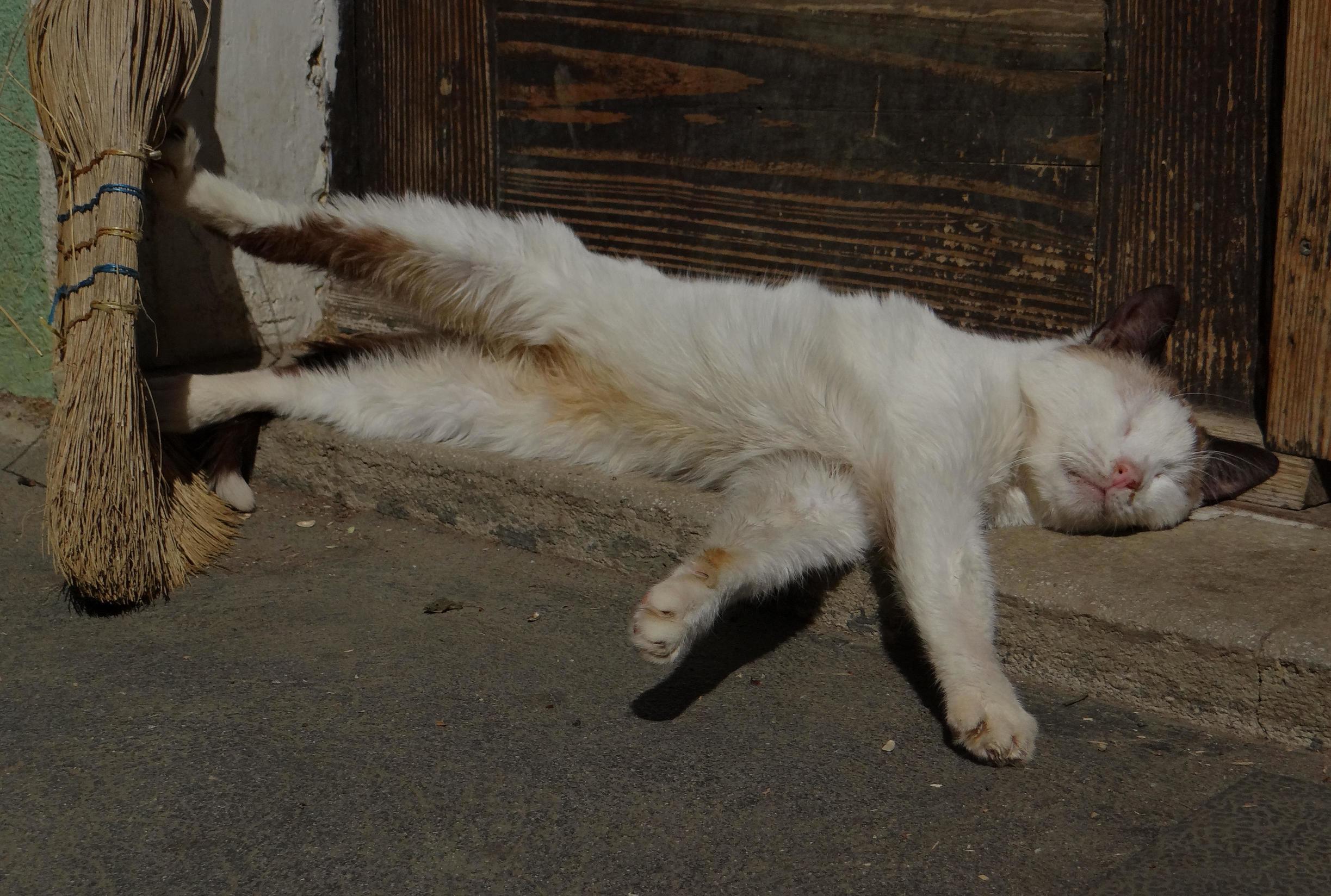 Relaxing After a Long Day of Playing
