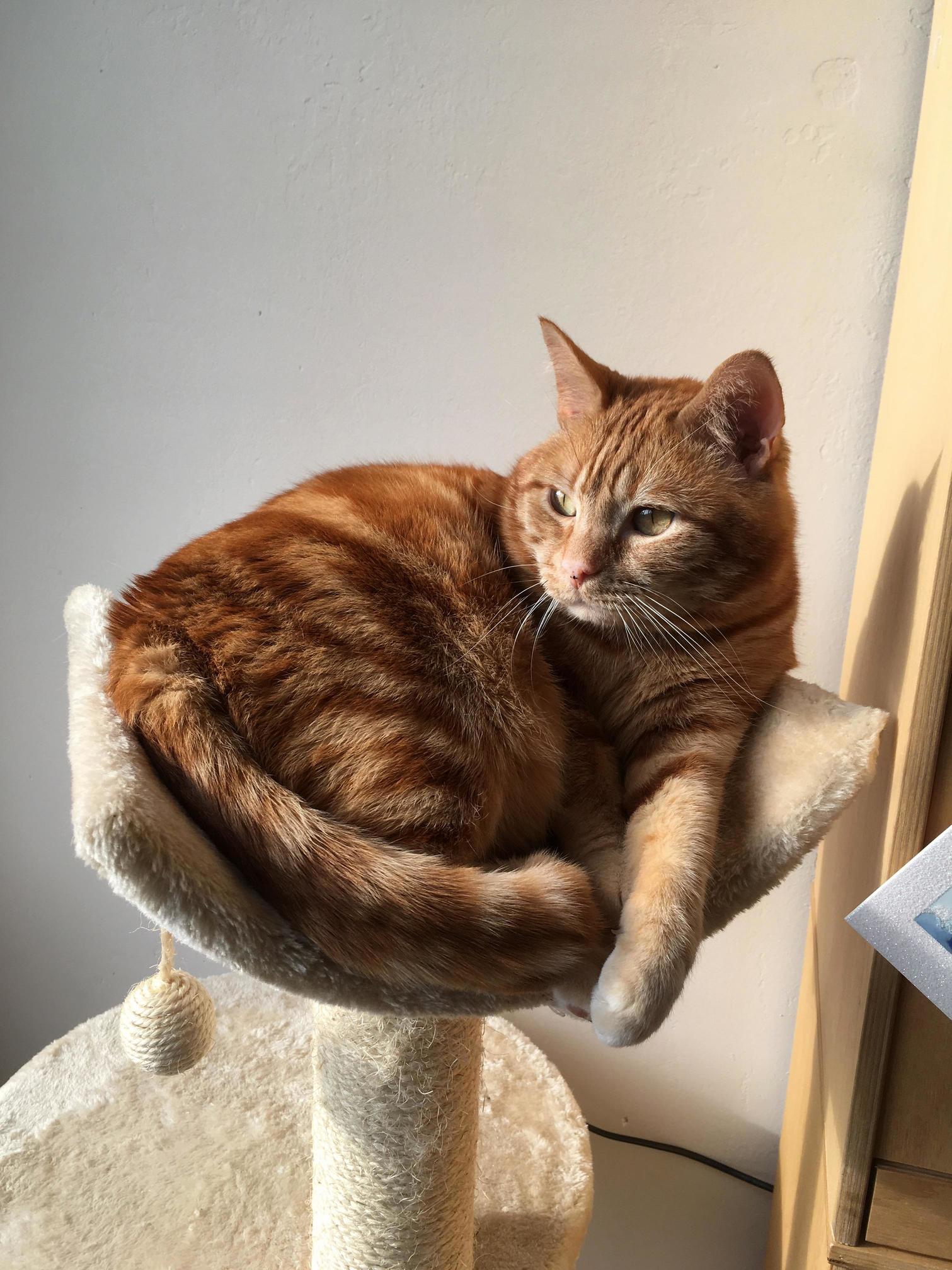 Relaxing in the Sun