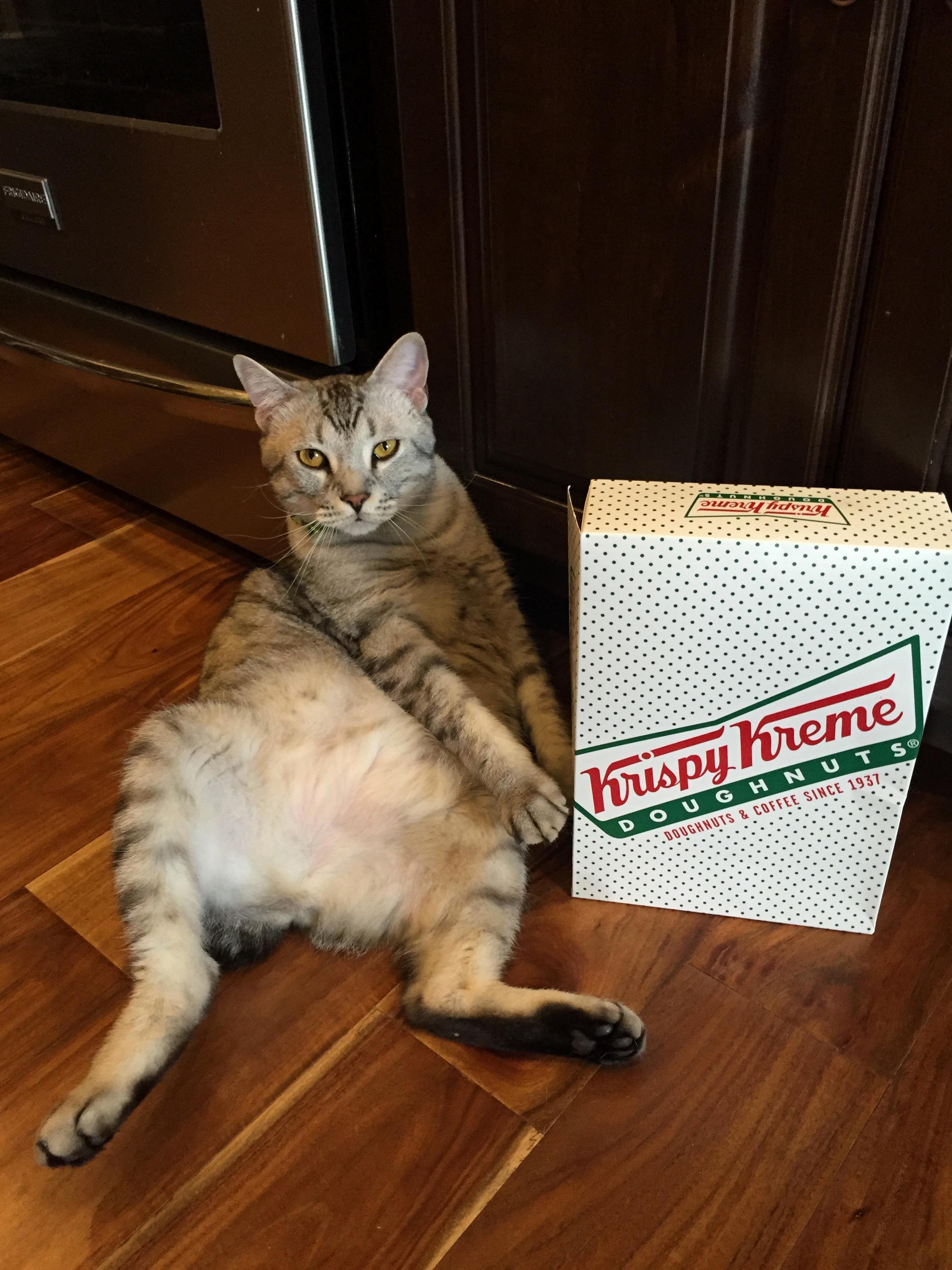 Romeo Only Gets Frisky for Krispy Kreme