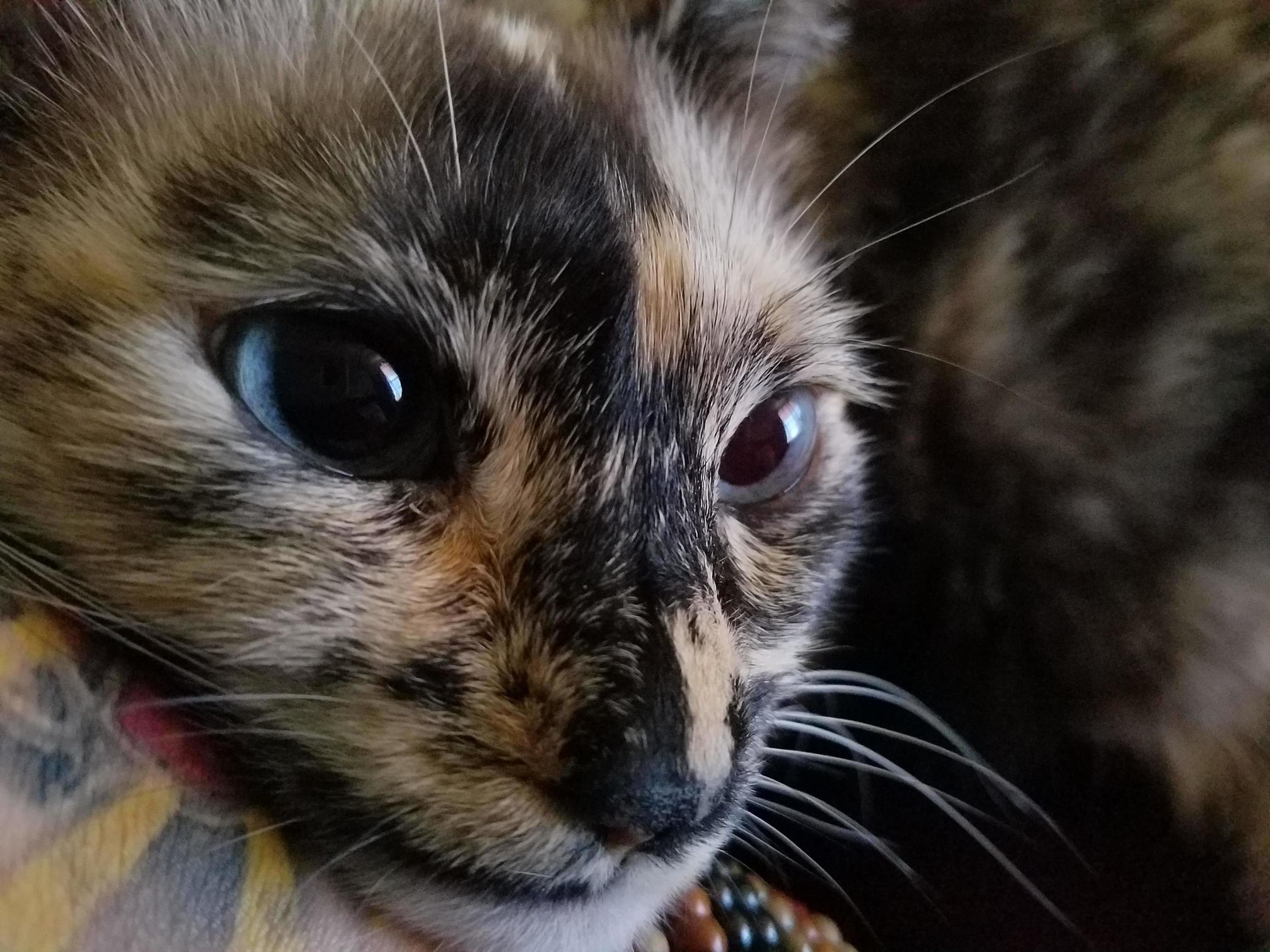 She Always Makes Me Feel Better