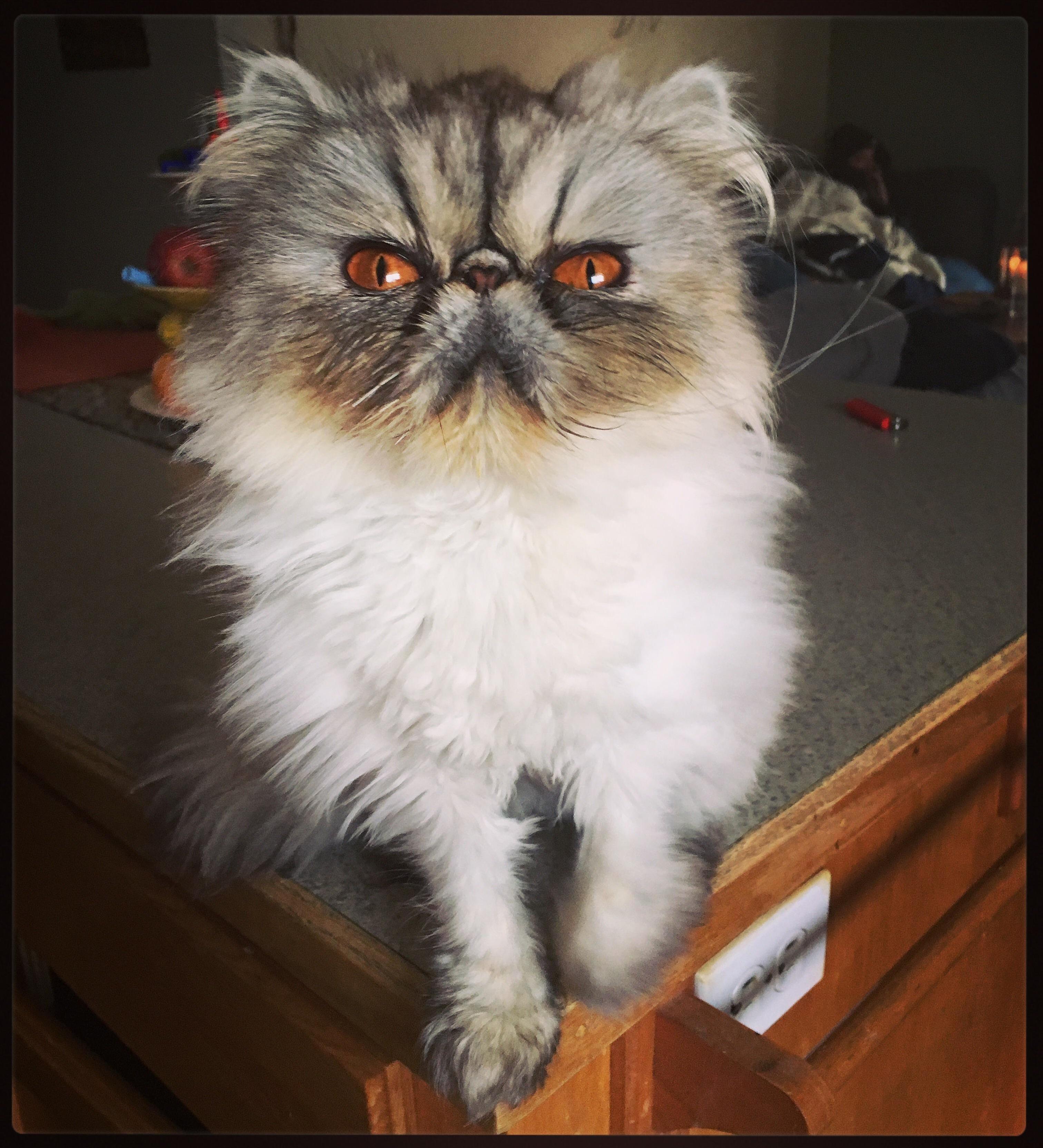 She Ll Win Any Staring Contest When It Comes to Food