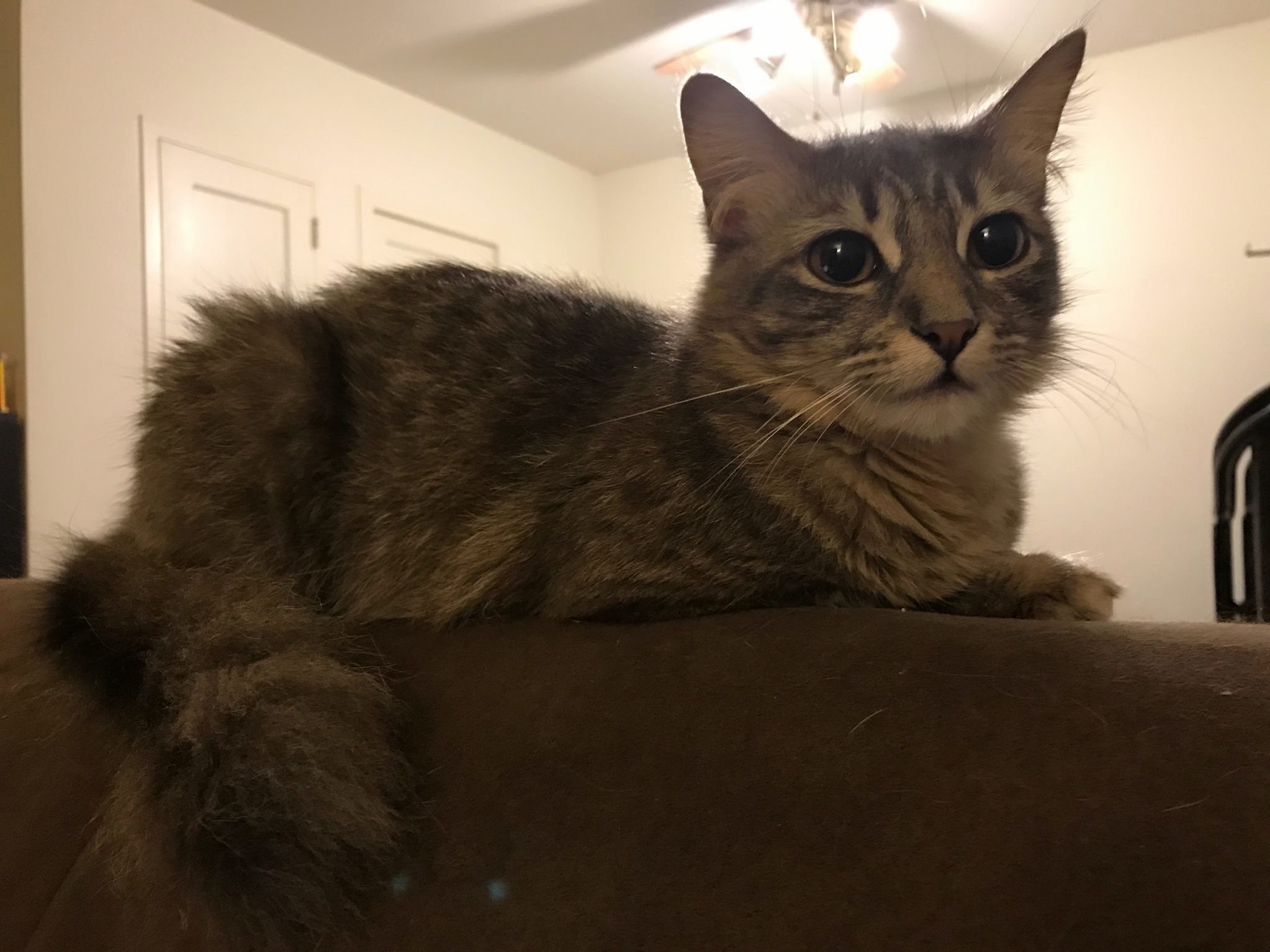 Shes Just Too Perfect and I Think She Knows It. 3