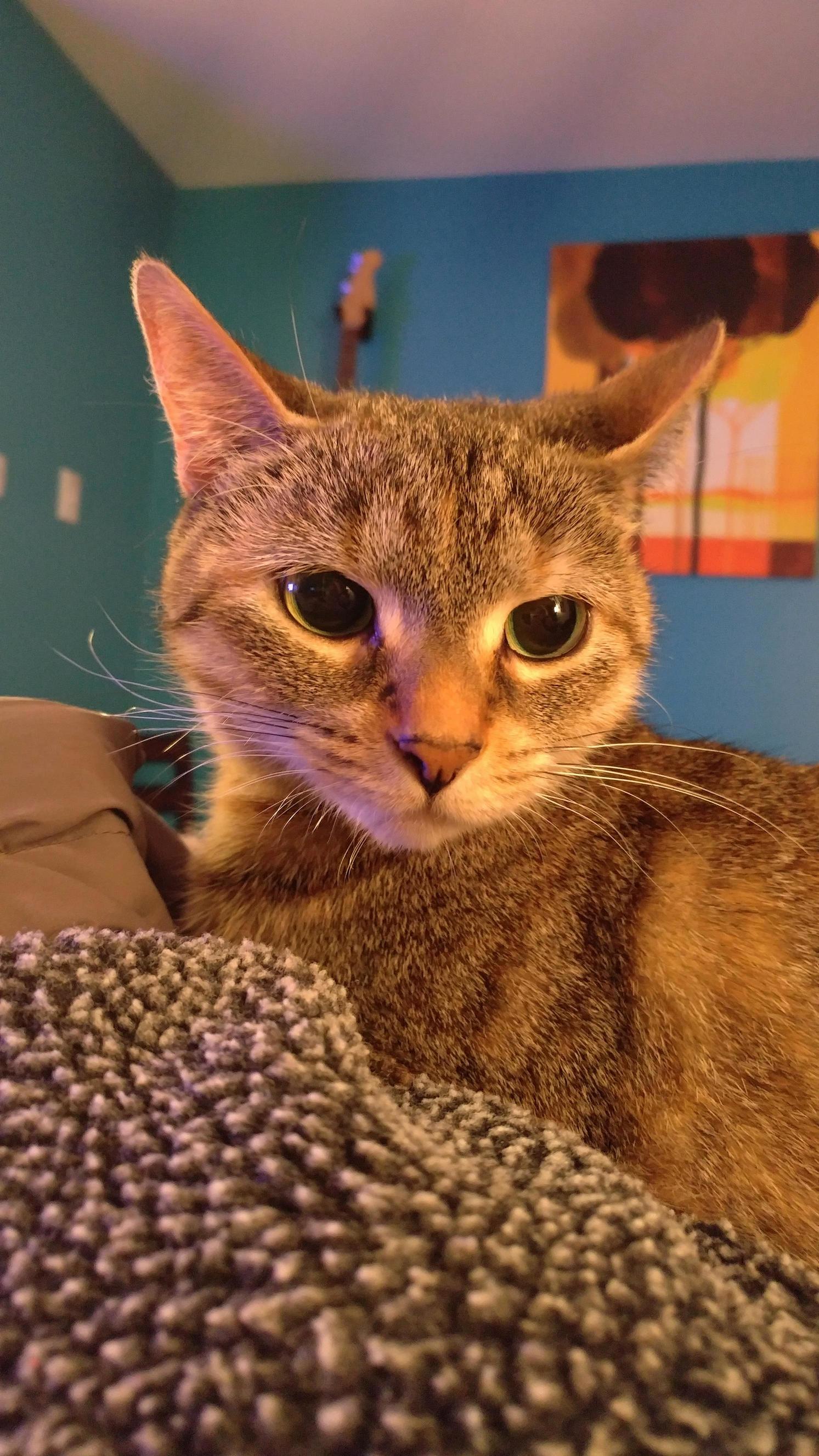 Shes Not Very Nice but She Is Very Pretty.