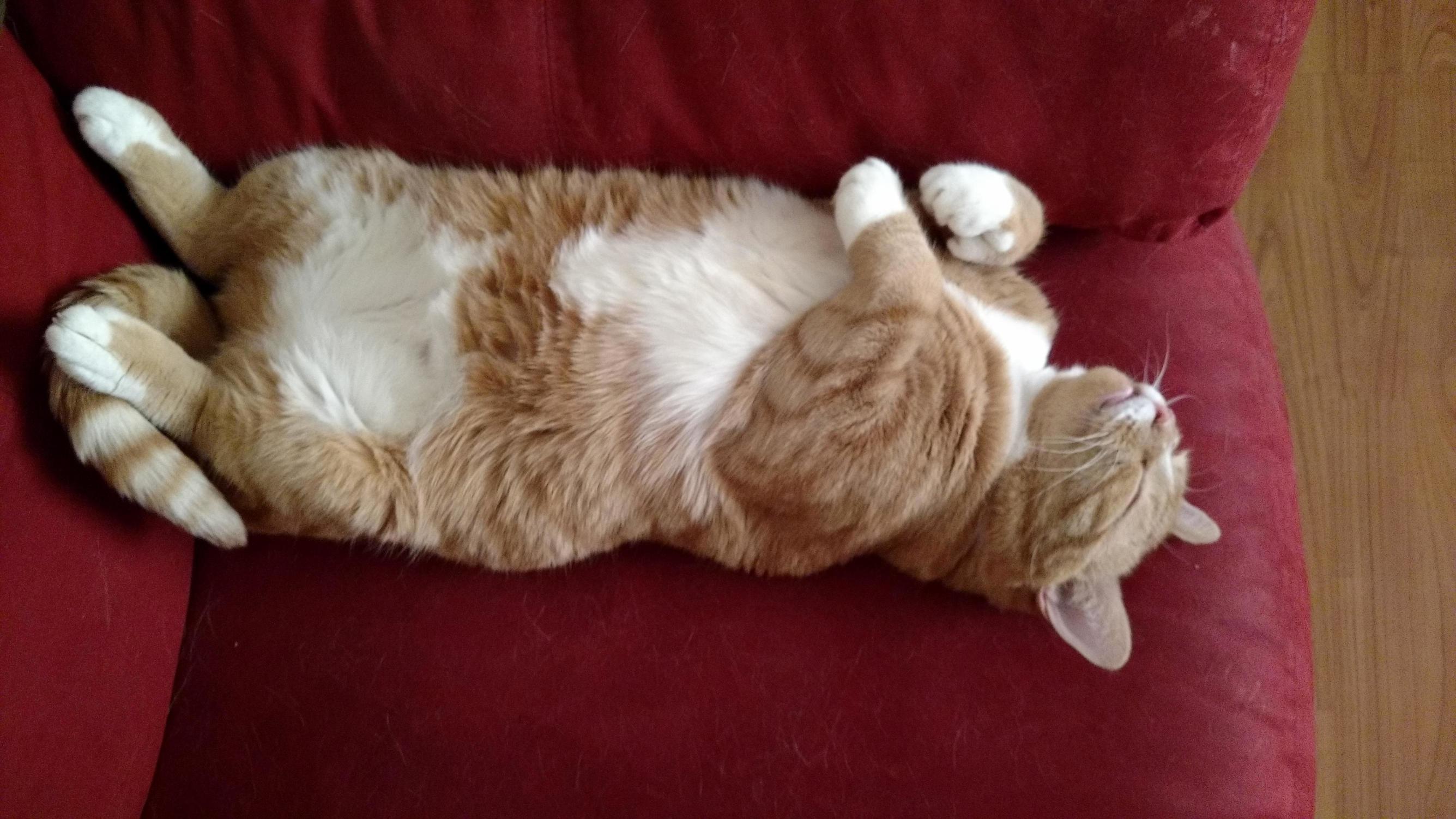 Sleepy Boy 3