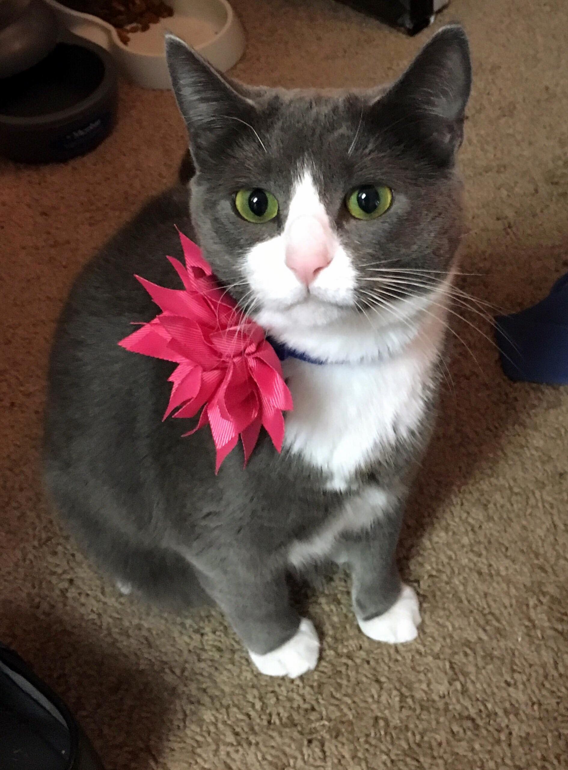Someone Is Excited for Easter