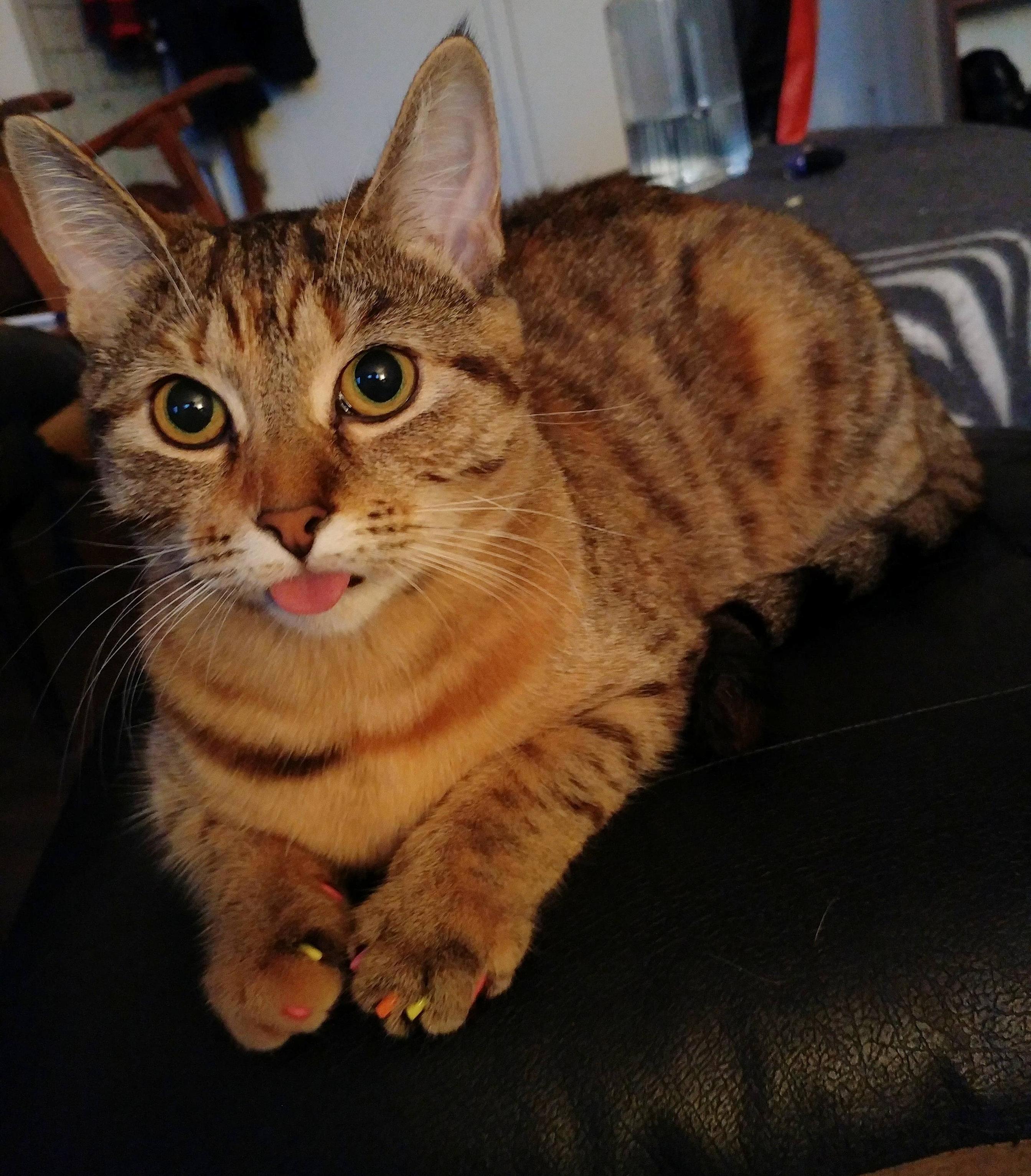 Sometimes She Gets Stuck Like This