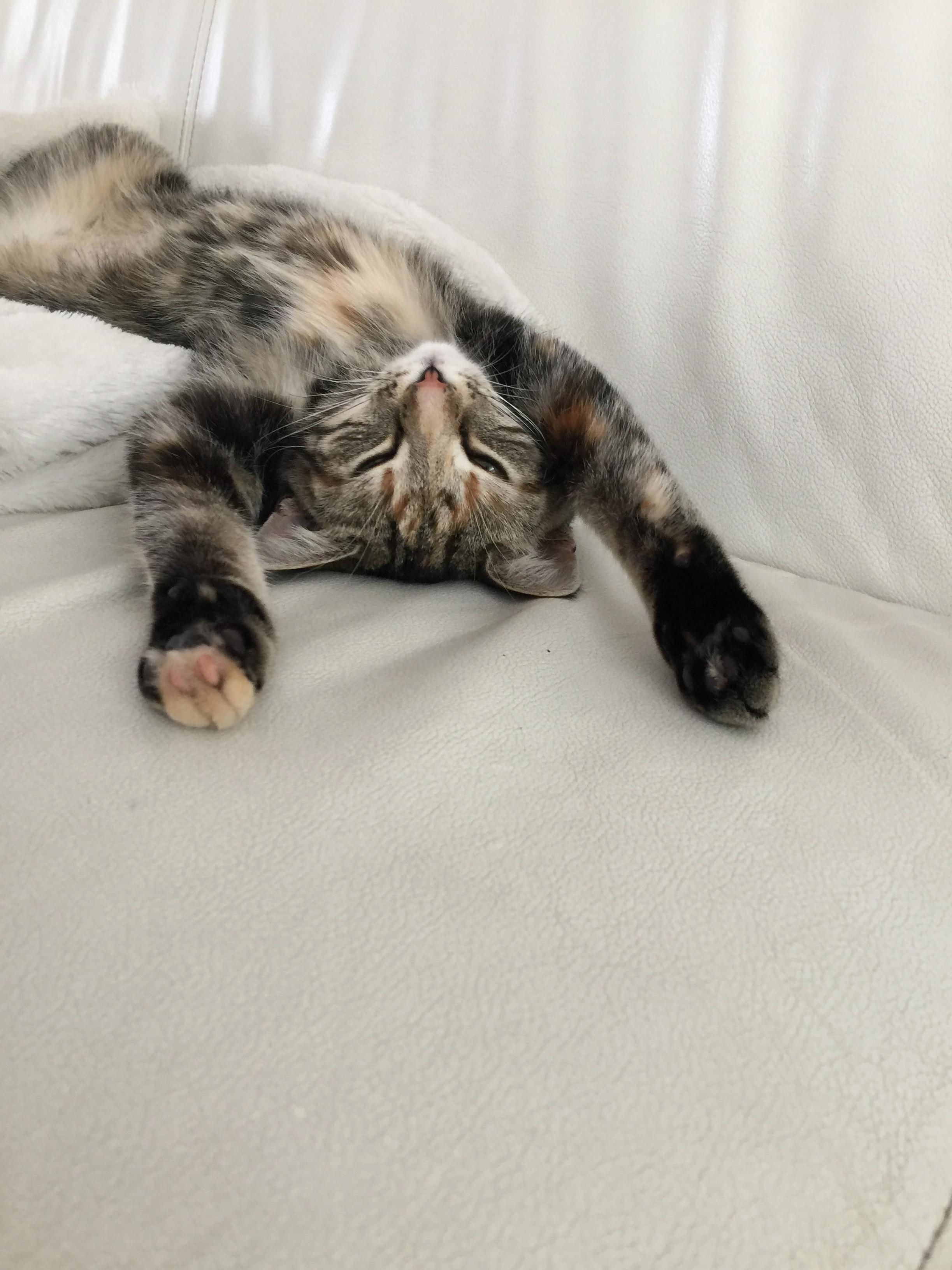 Soooo Tired