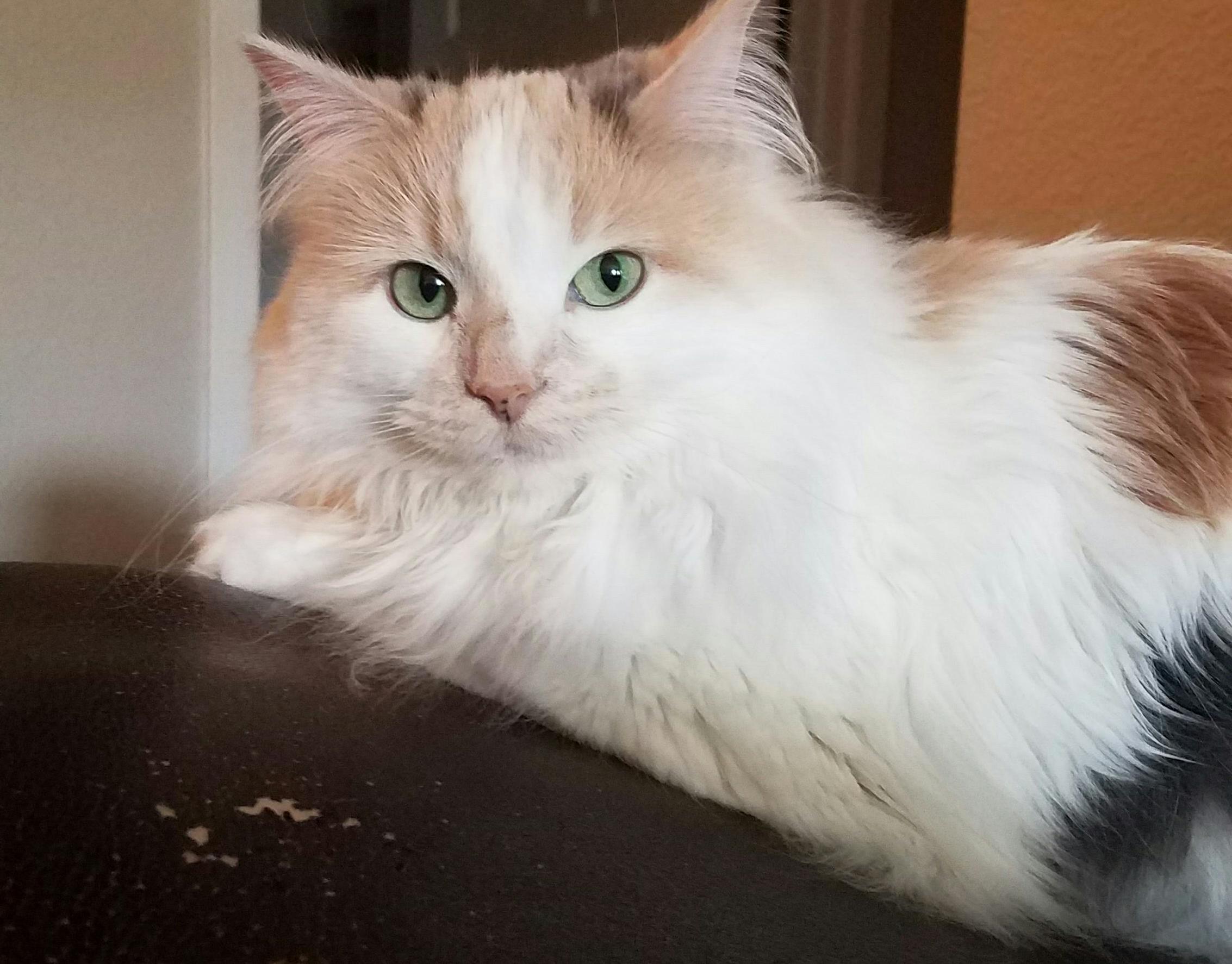 Sophie Looking Intense