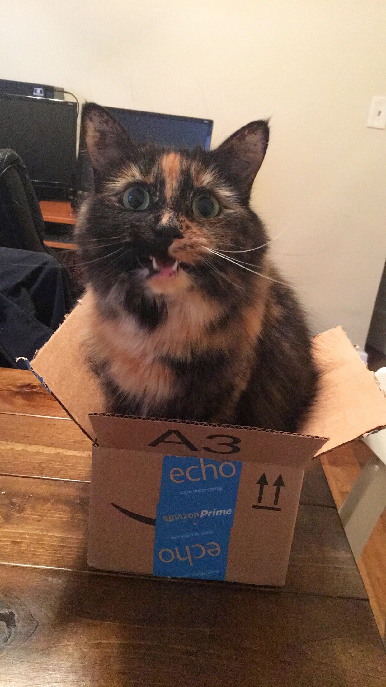 Special Delivery