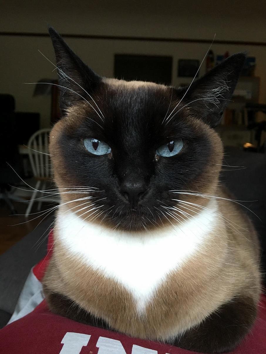 Staring Into Her Big Blue Eyes