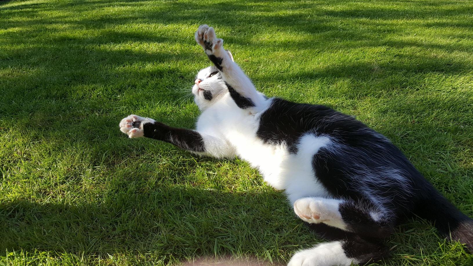 Sunbathing.