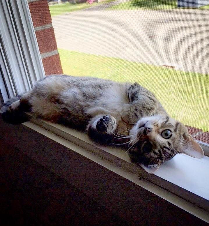Supermodel in Training.