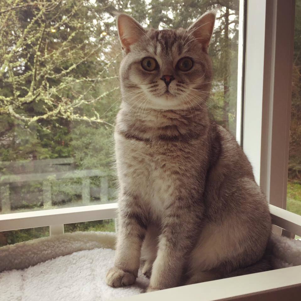 Surprised Luna