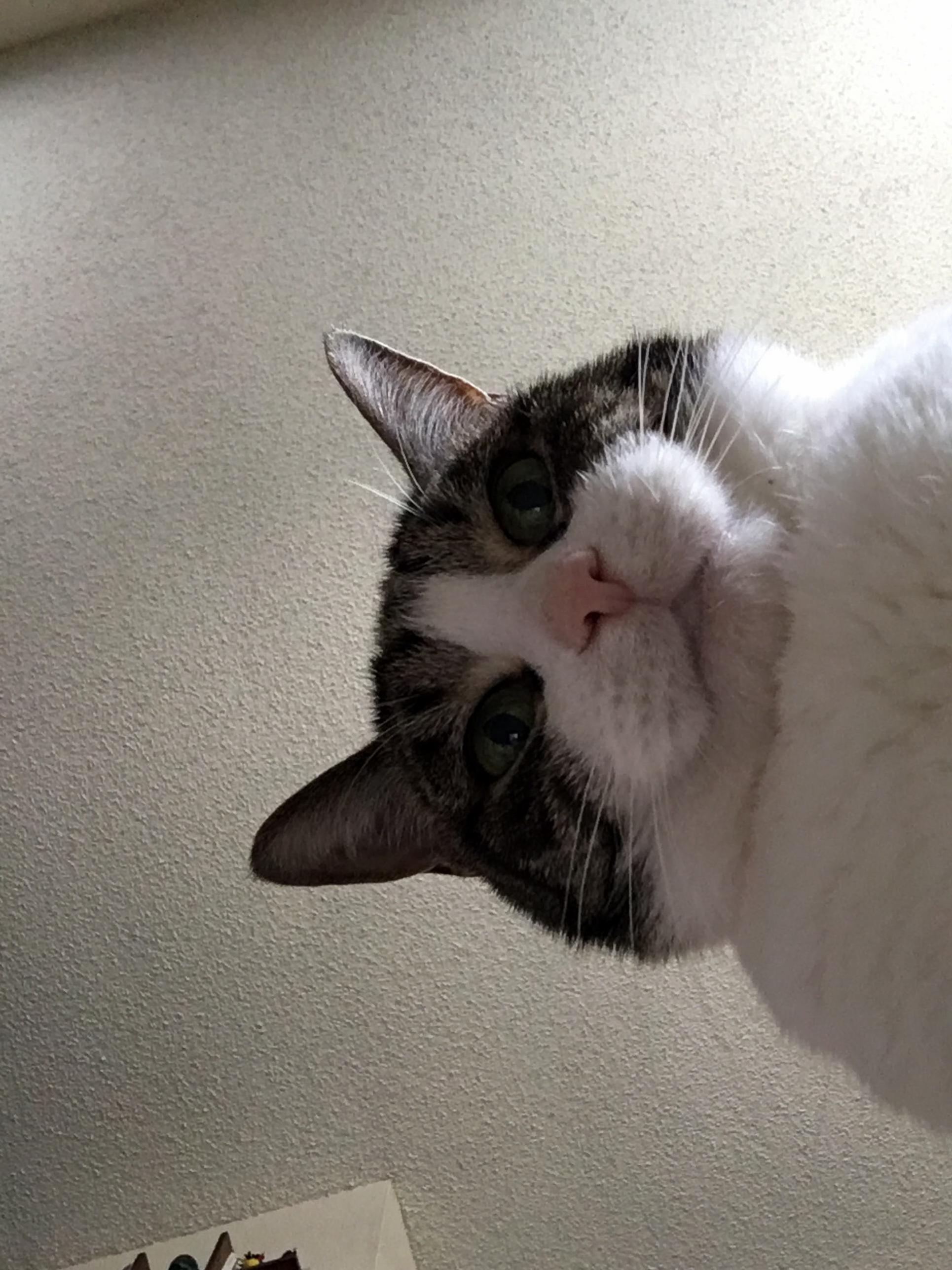 That Horrifying Moment You Open Your Phone and the Front Facing Camera Is On....