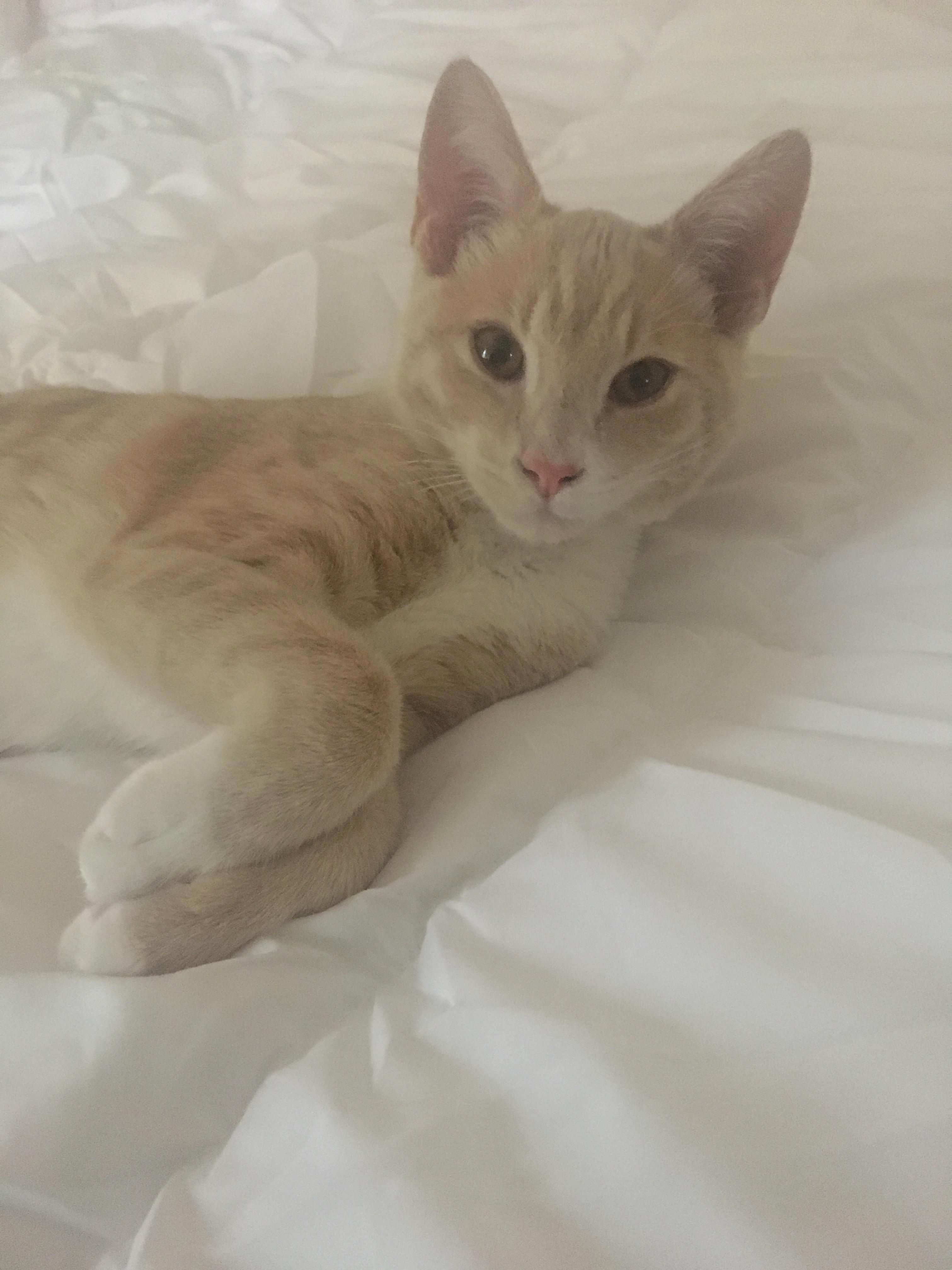 The Handsomest Boy Hes a Little Sleepy
