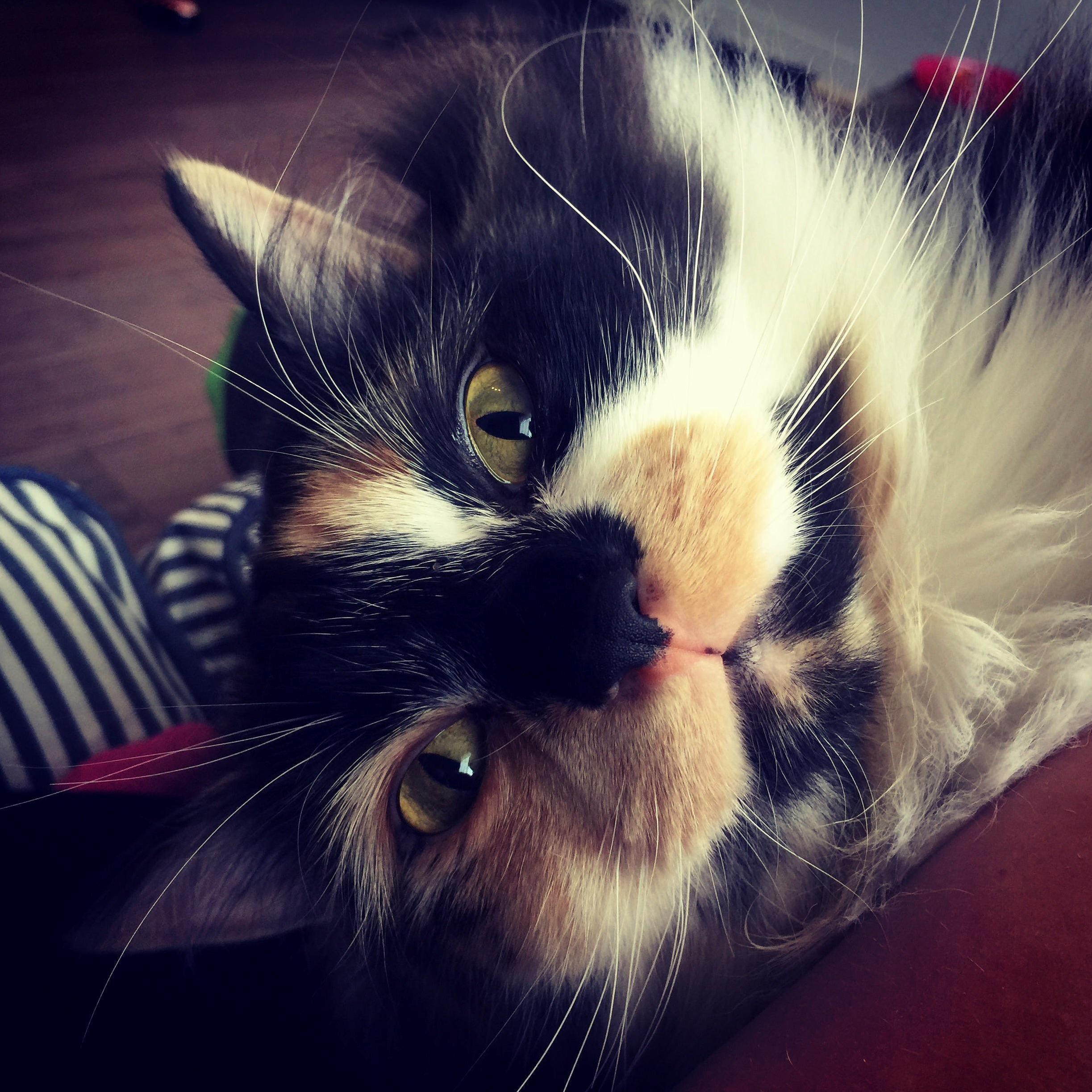 The Look of Love...