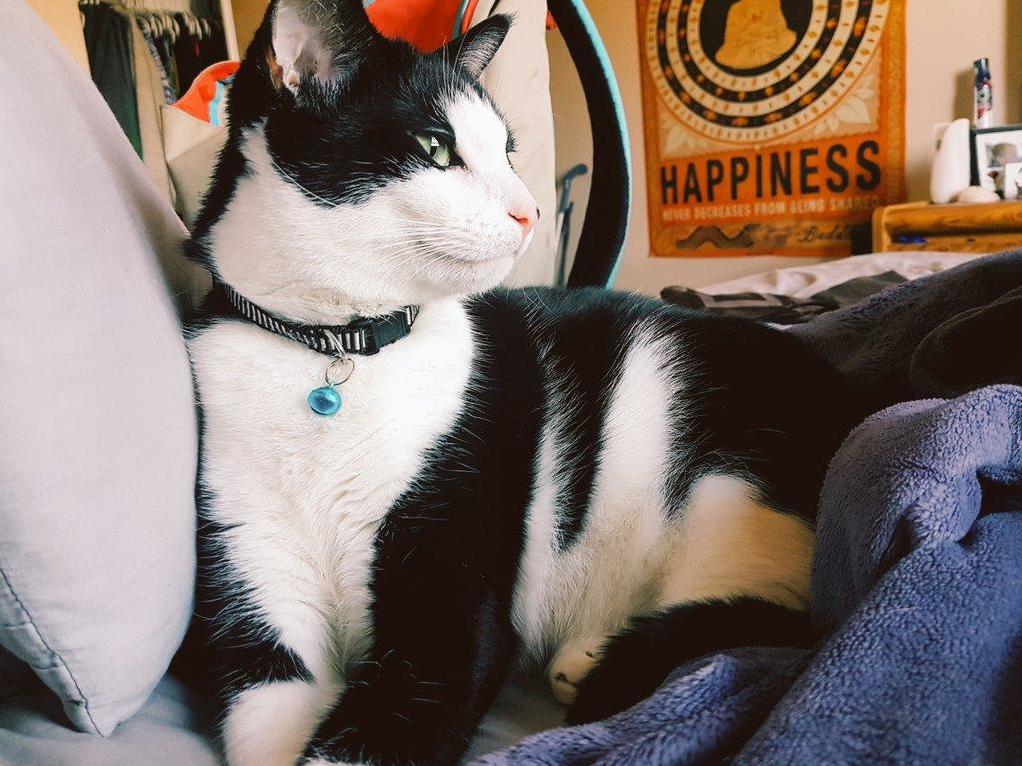 Thinking About All the Toys He Managed to Hide Under the Stove Without Me Noticing.