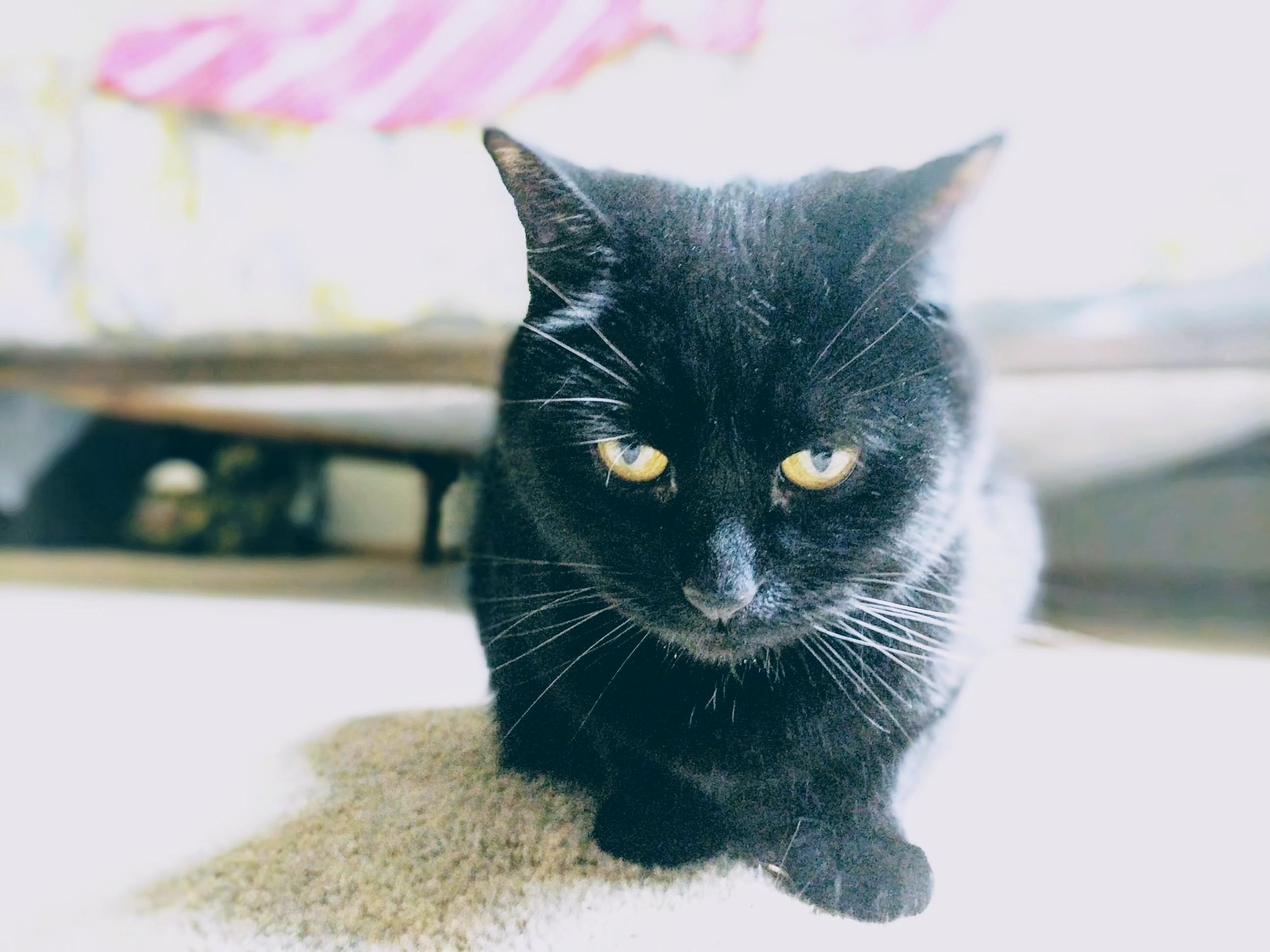 This Is Groots Happy Face.