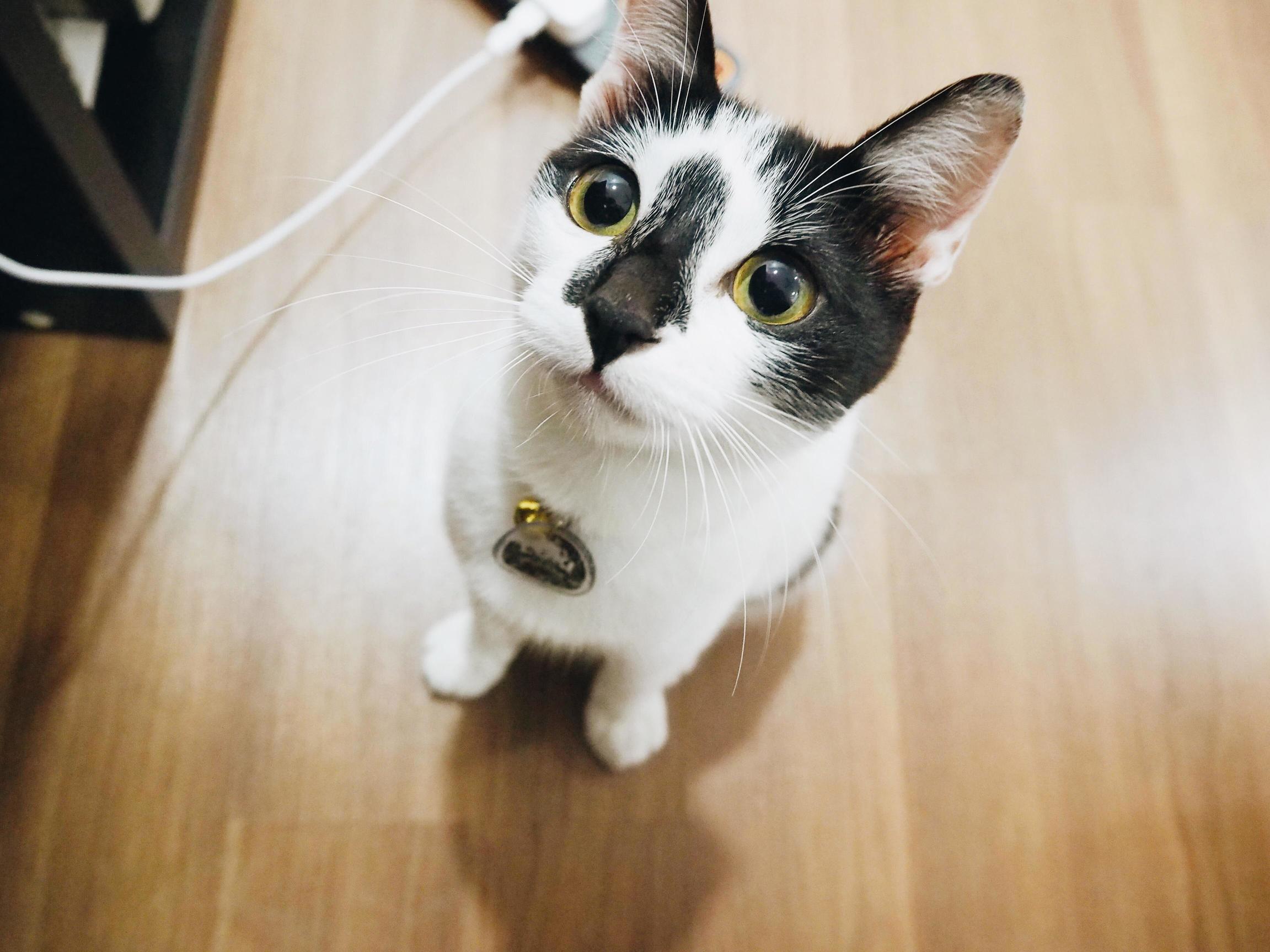 This Is Loki