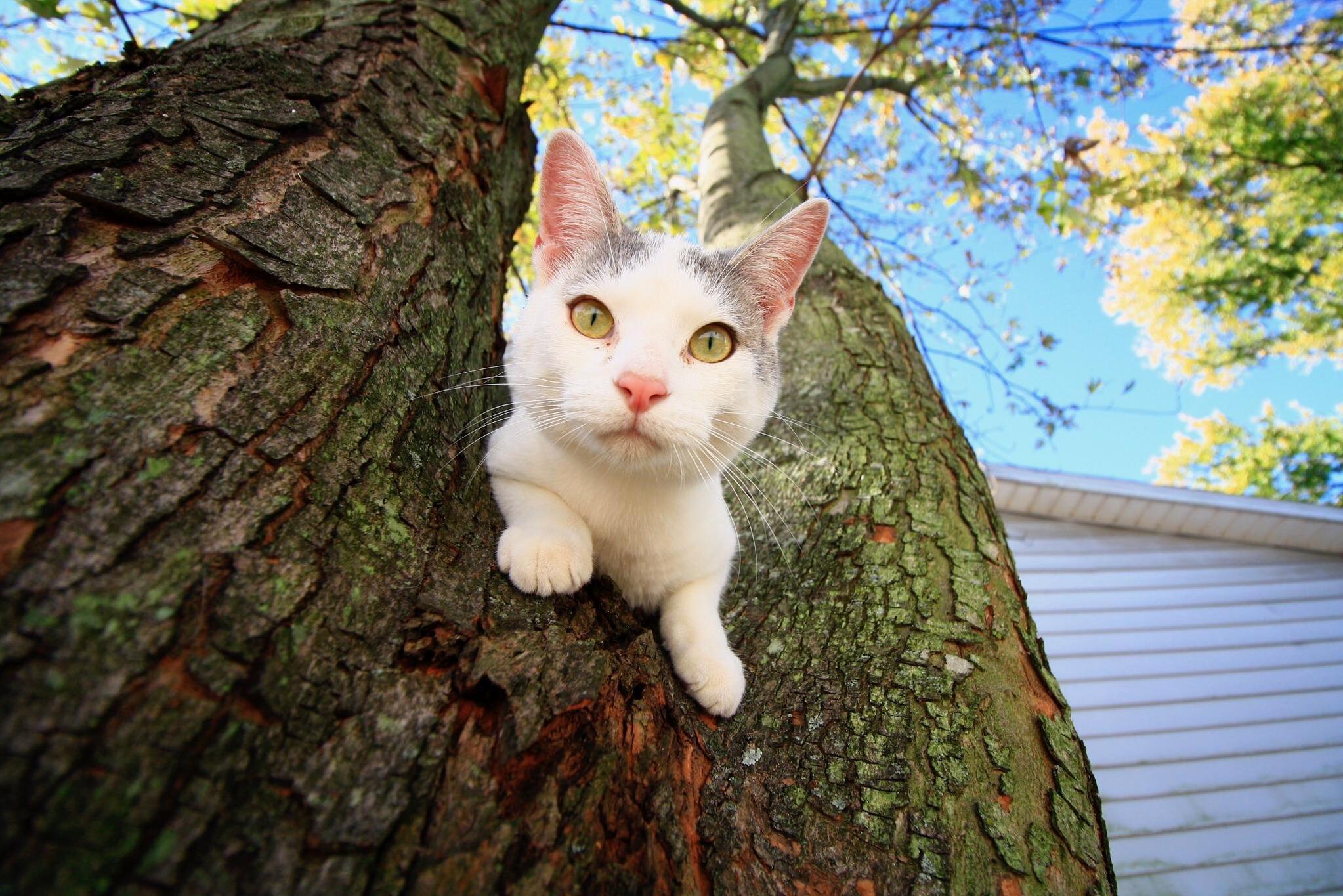 This Is My Handsome Little Man Dr. Spots.