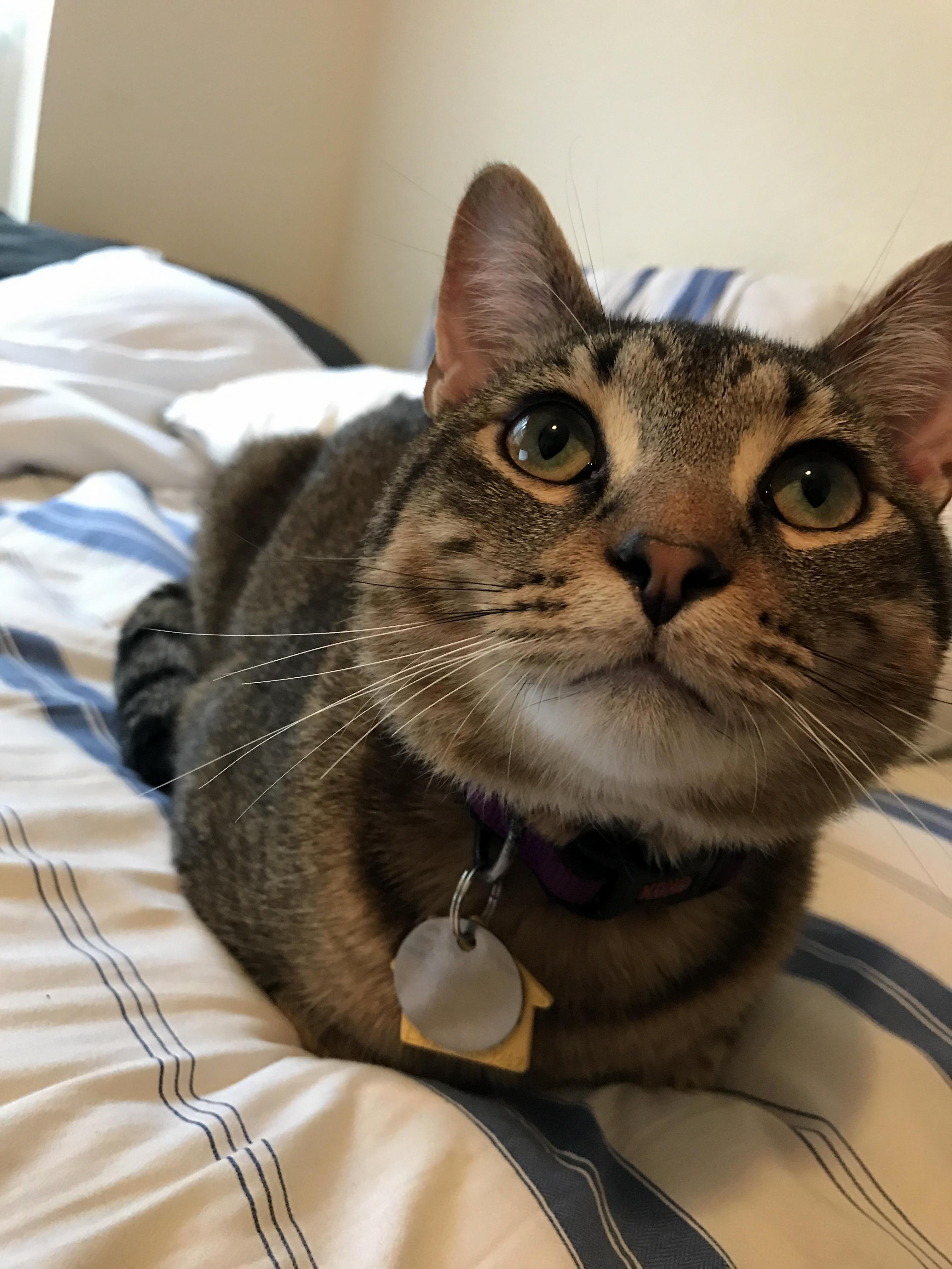 This Loaf Came Out of the Oven a Little Burnt