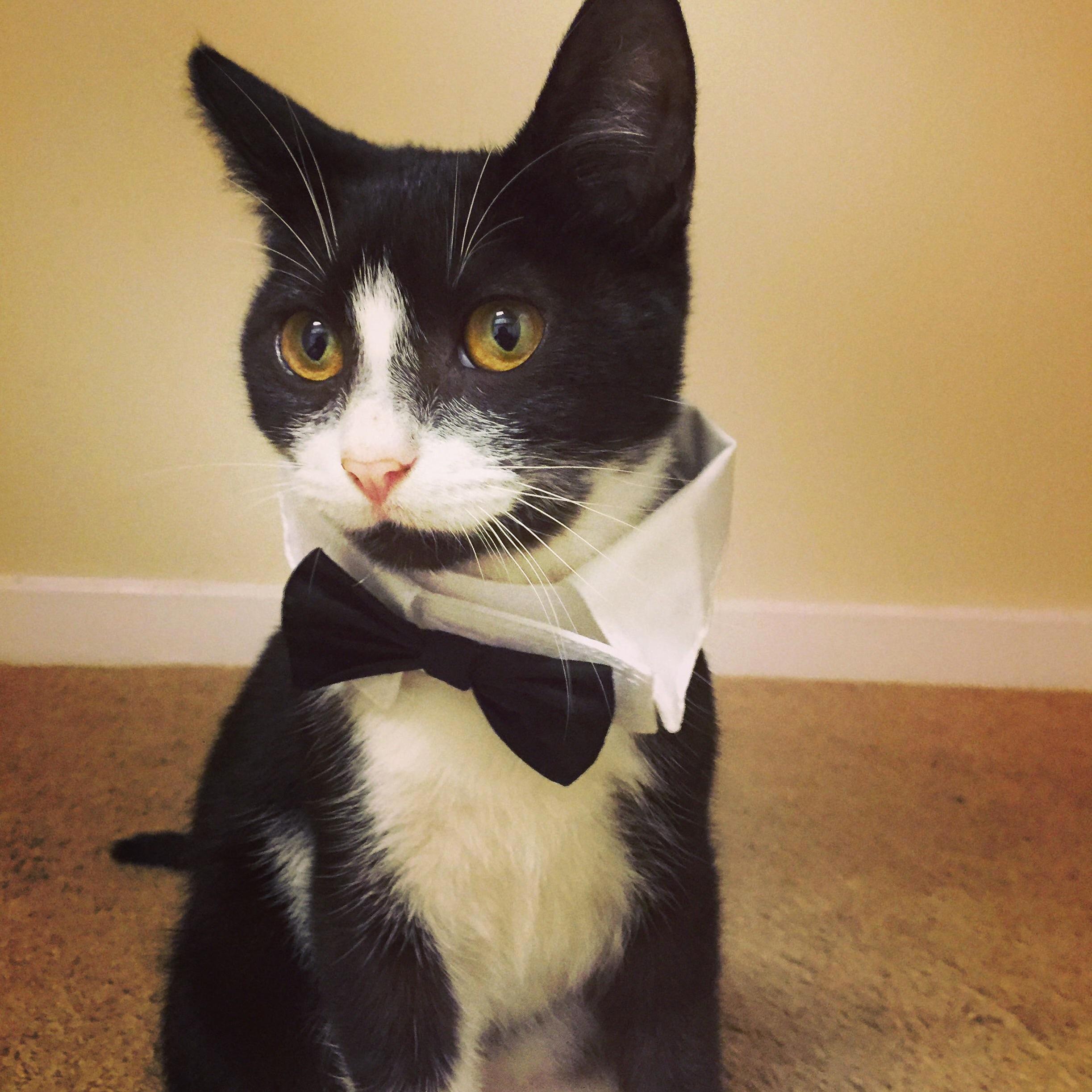 Today He Turns Three in His Birthday Suit...suit.