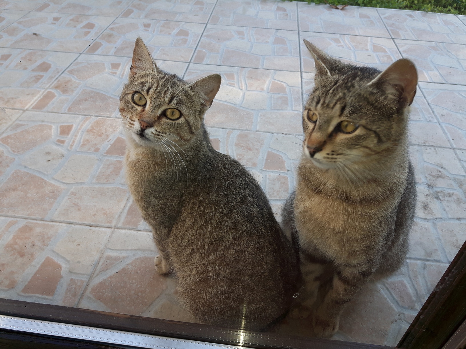 Two Brothers
