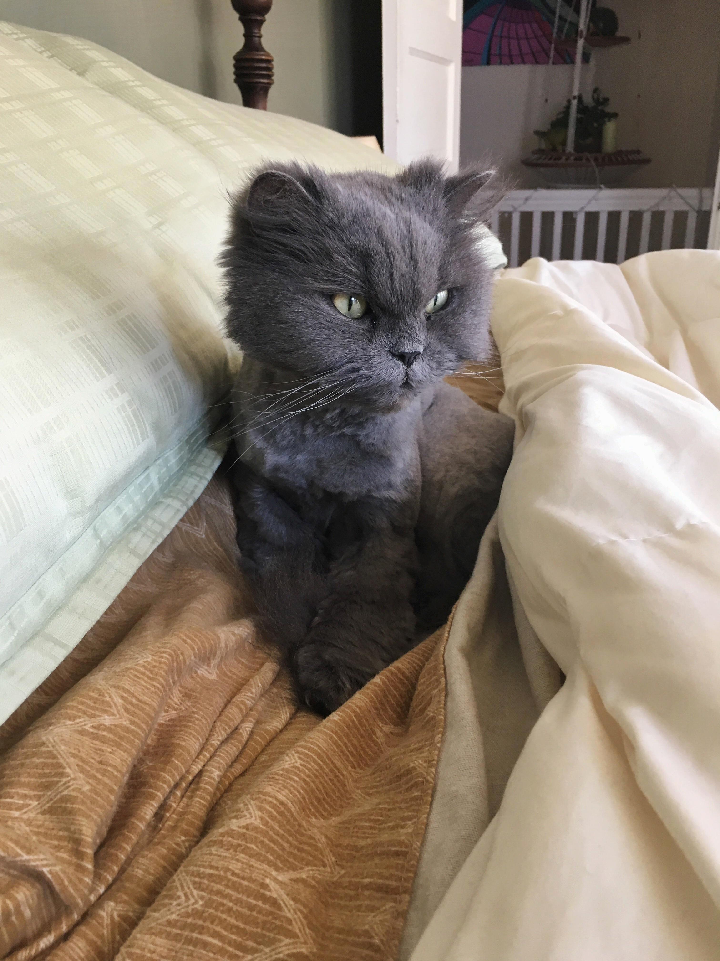 Waking Up Is Hard...