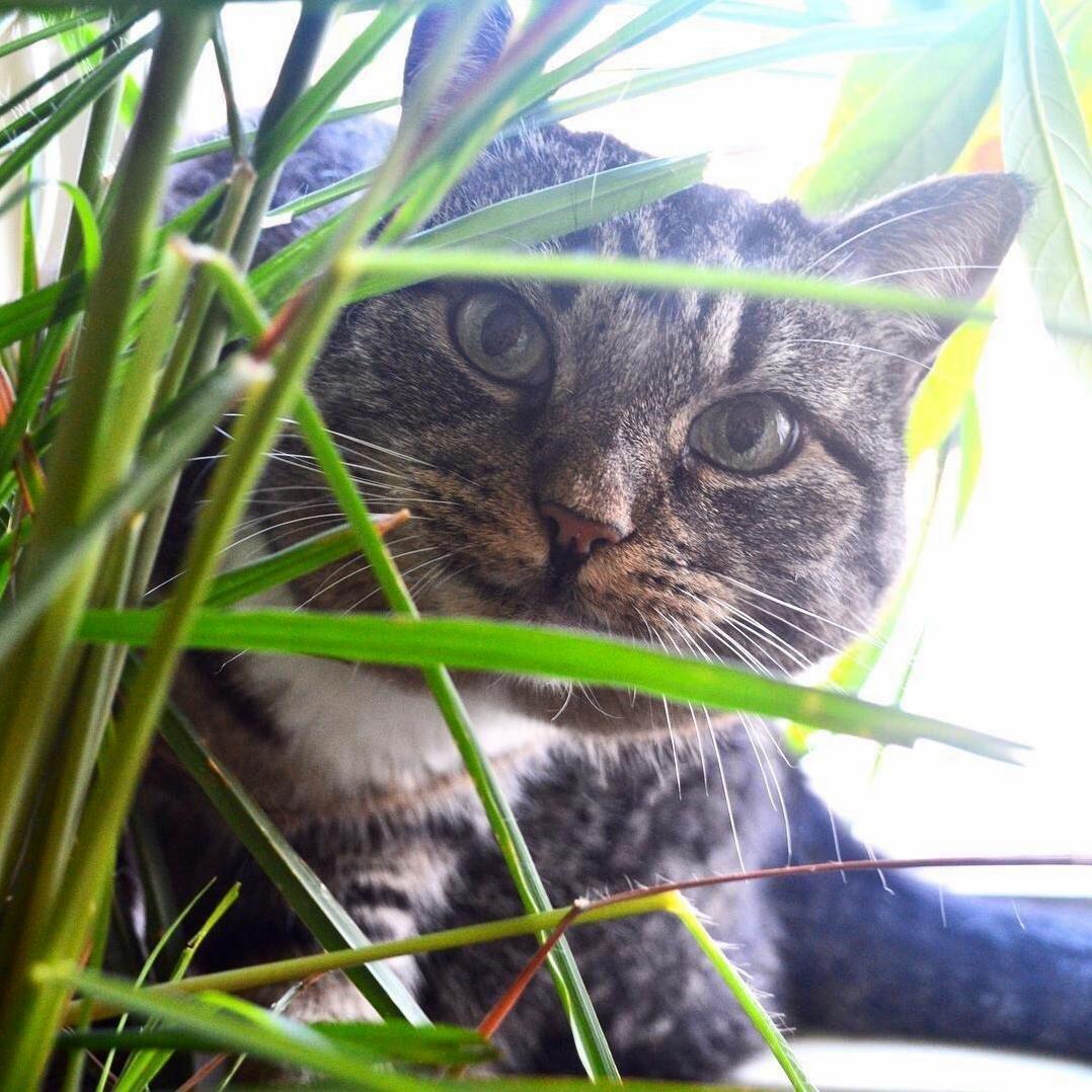 We Are Newbies Menina Would Like to Say Hello to Everyone.