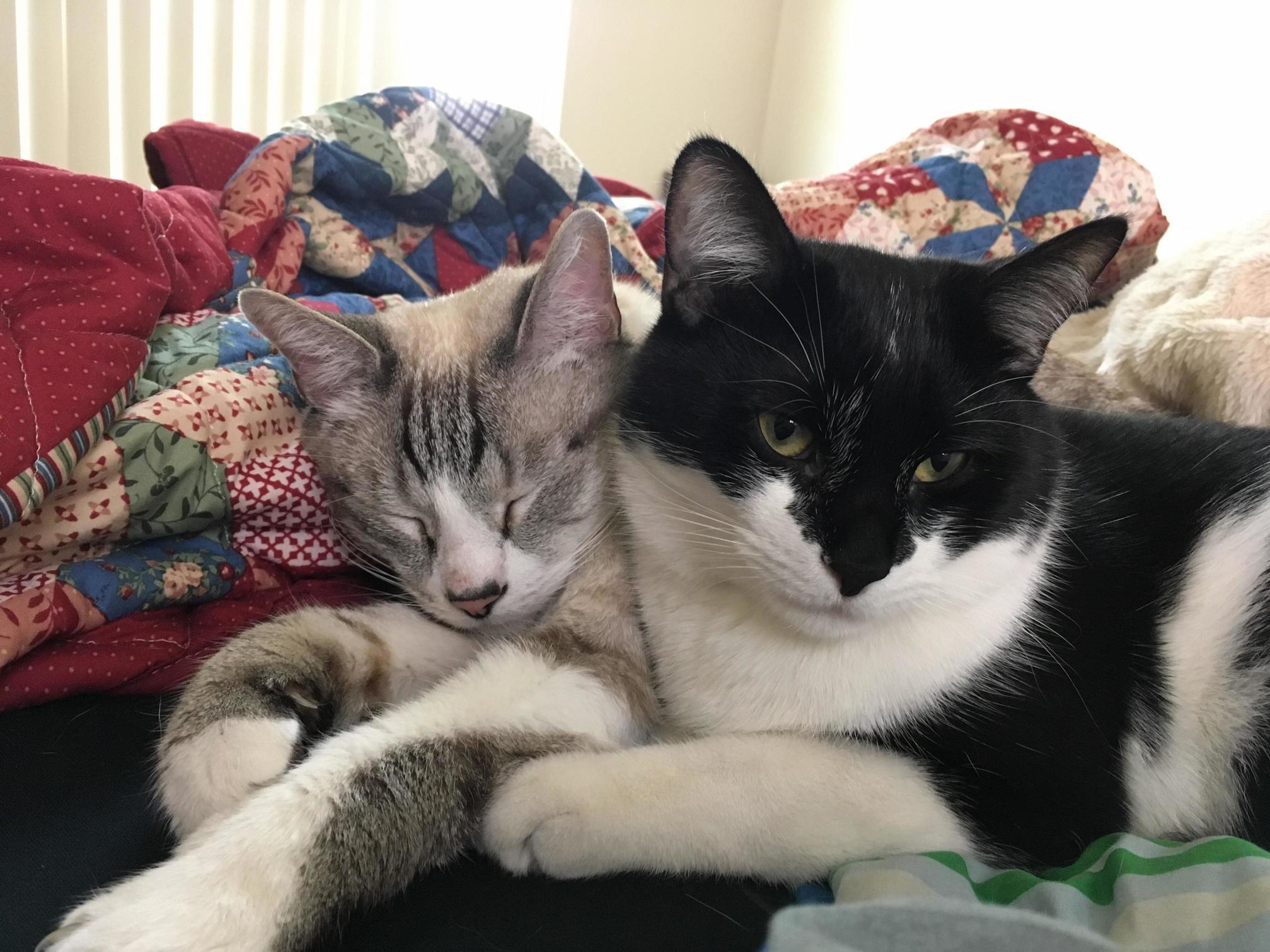 We Finally Like Each Other a Little