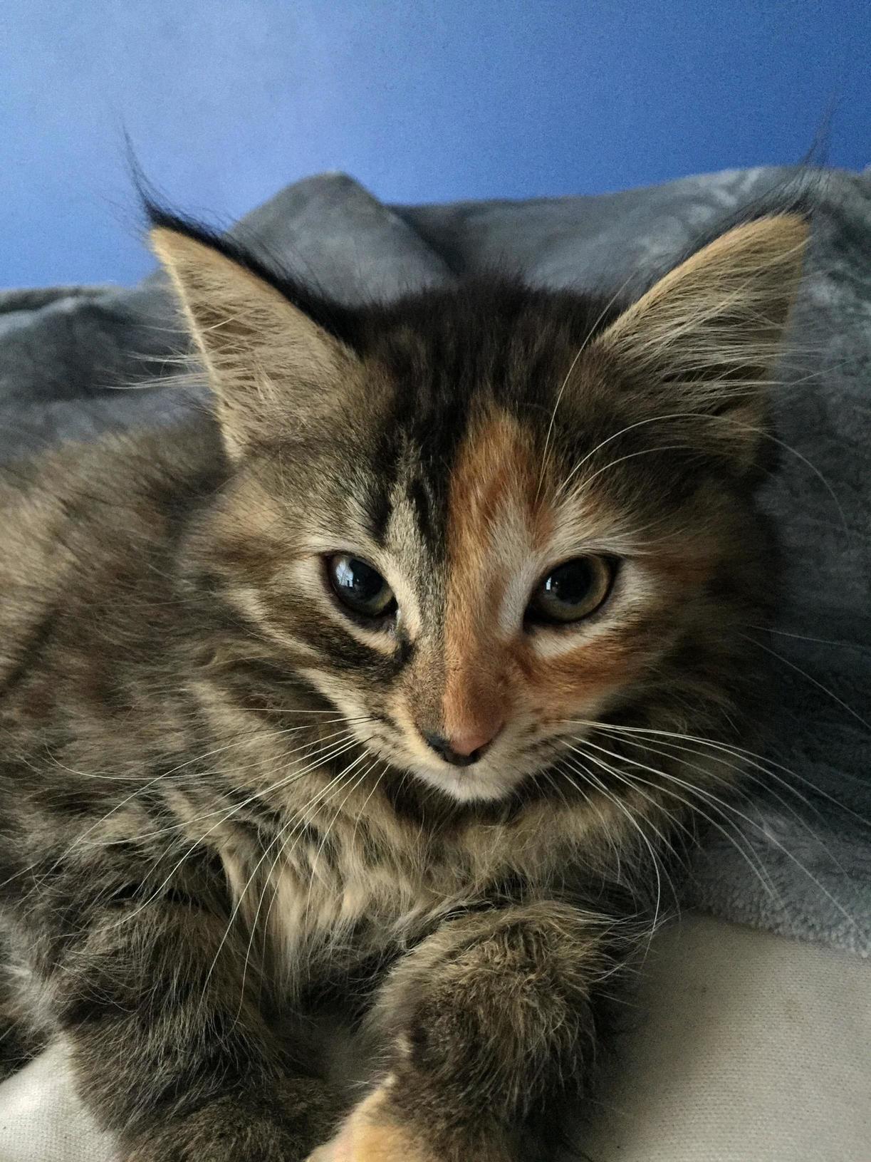 We Ve Been Together Now 4 Days Can You Guys Help Name Her