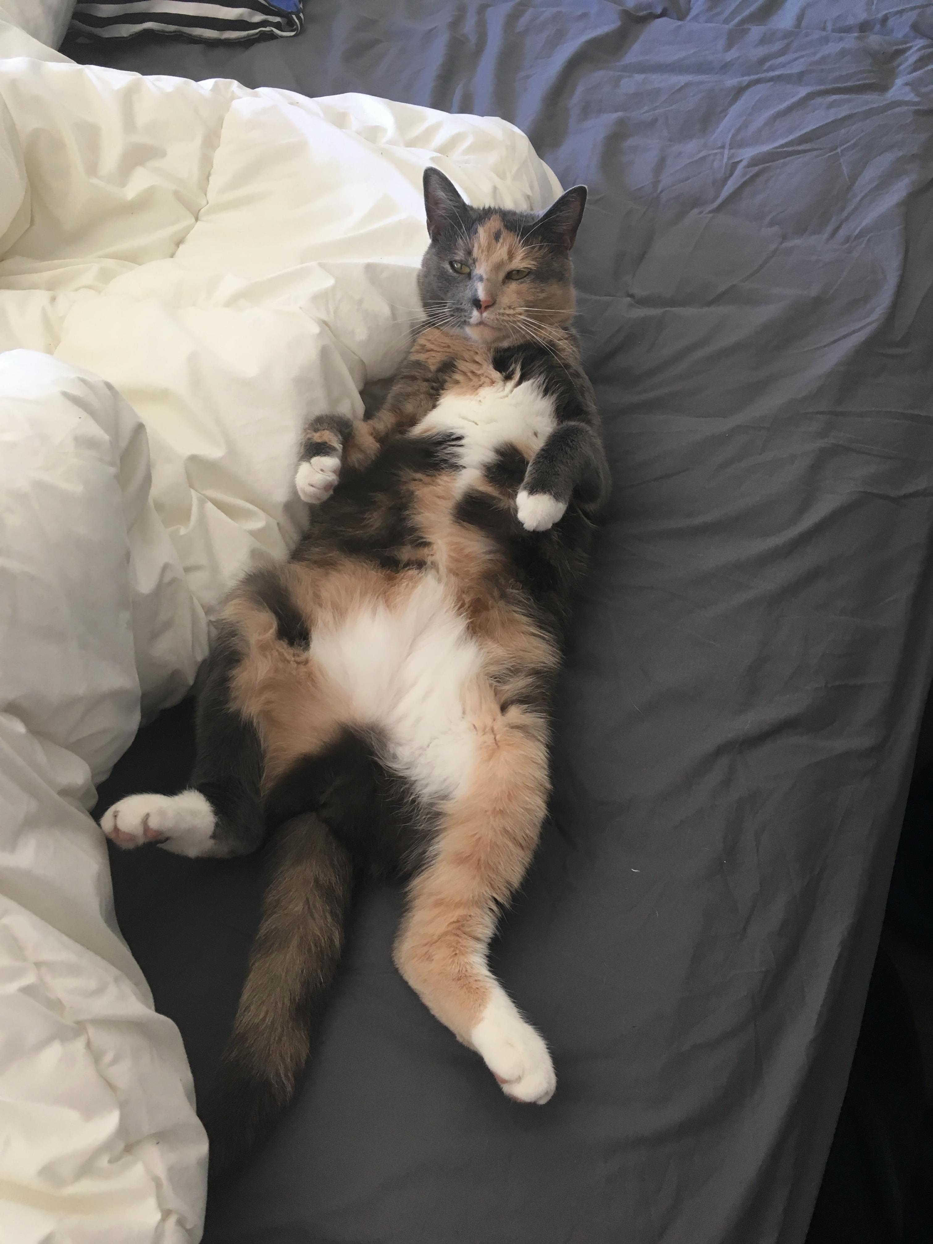 What Are You Looking at