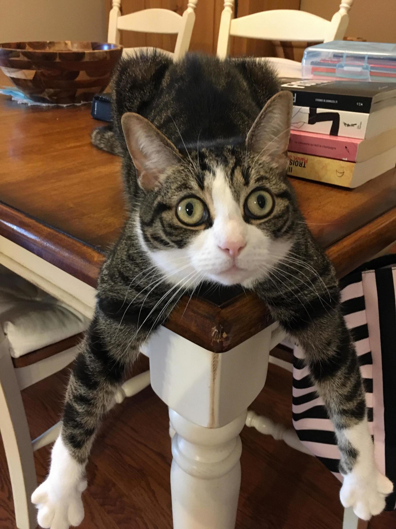 What Do You Want
