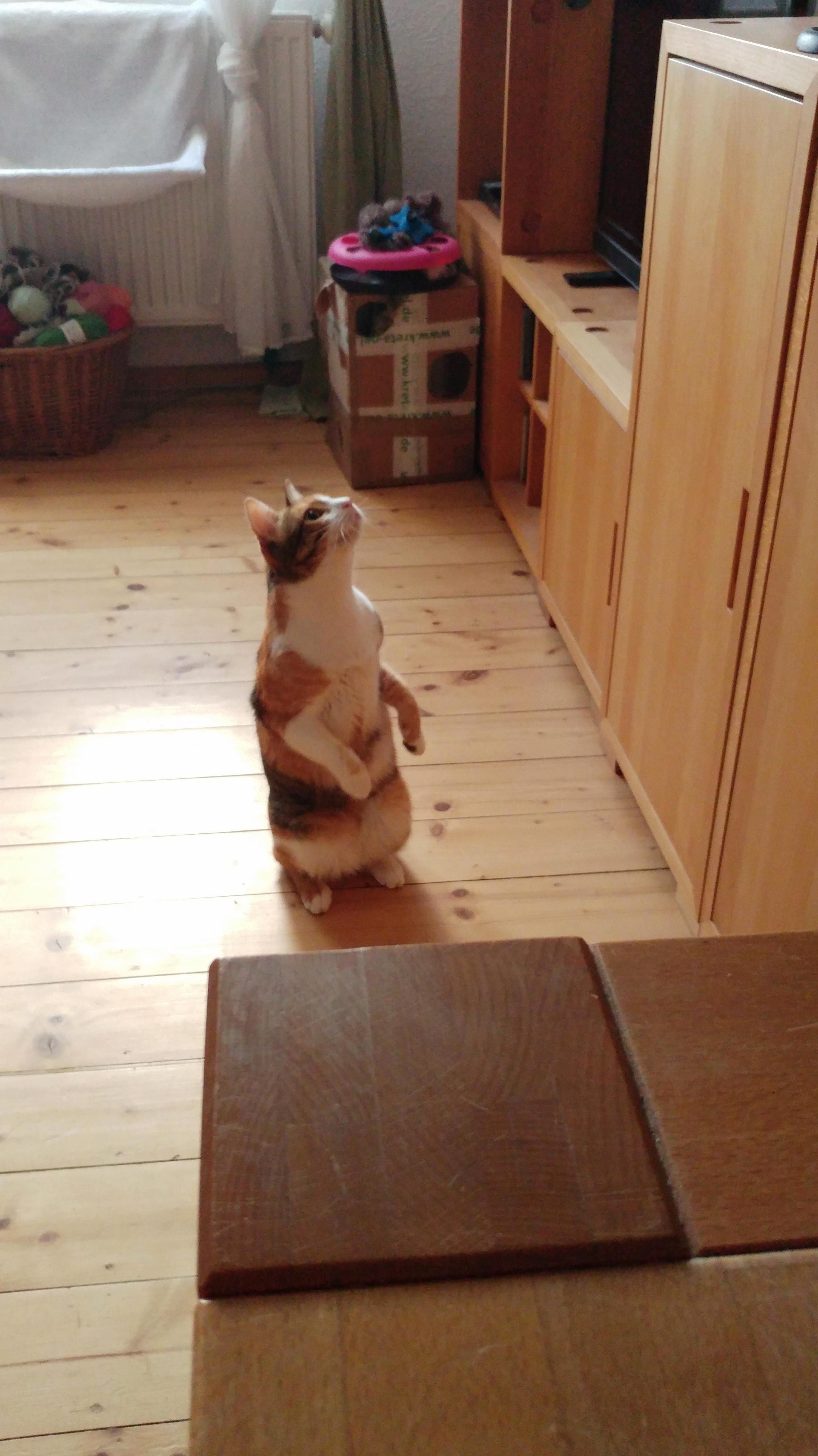 Whats Going on Up There