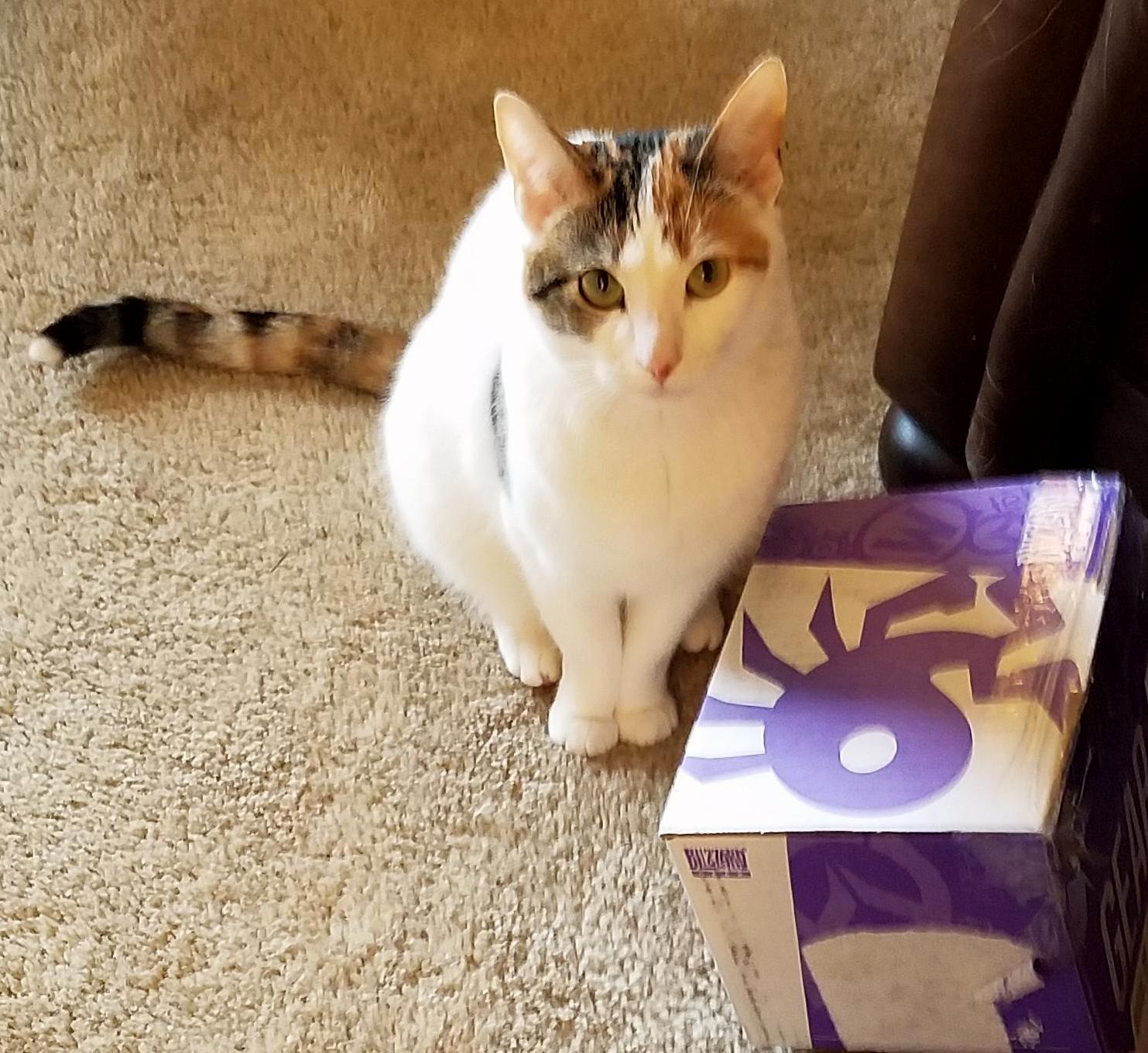 When She Orders Online but Still Needs Help Opening the Box