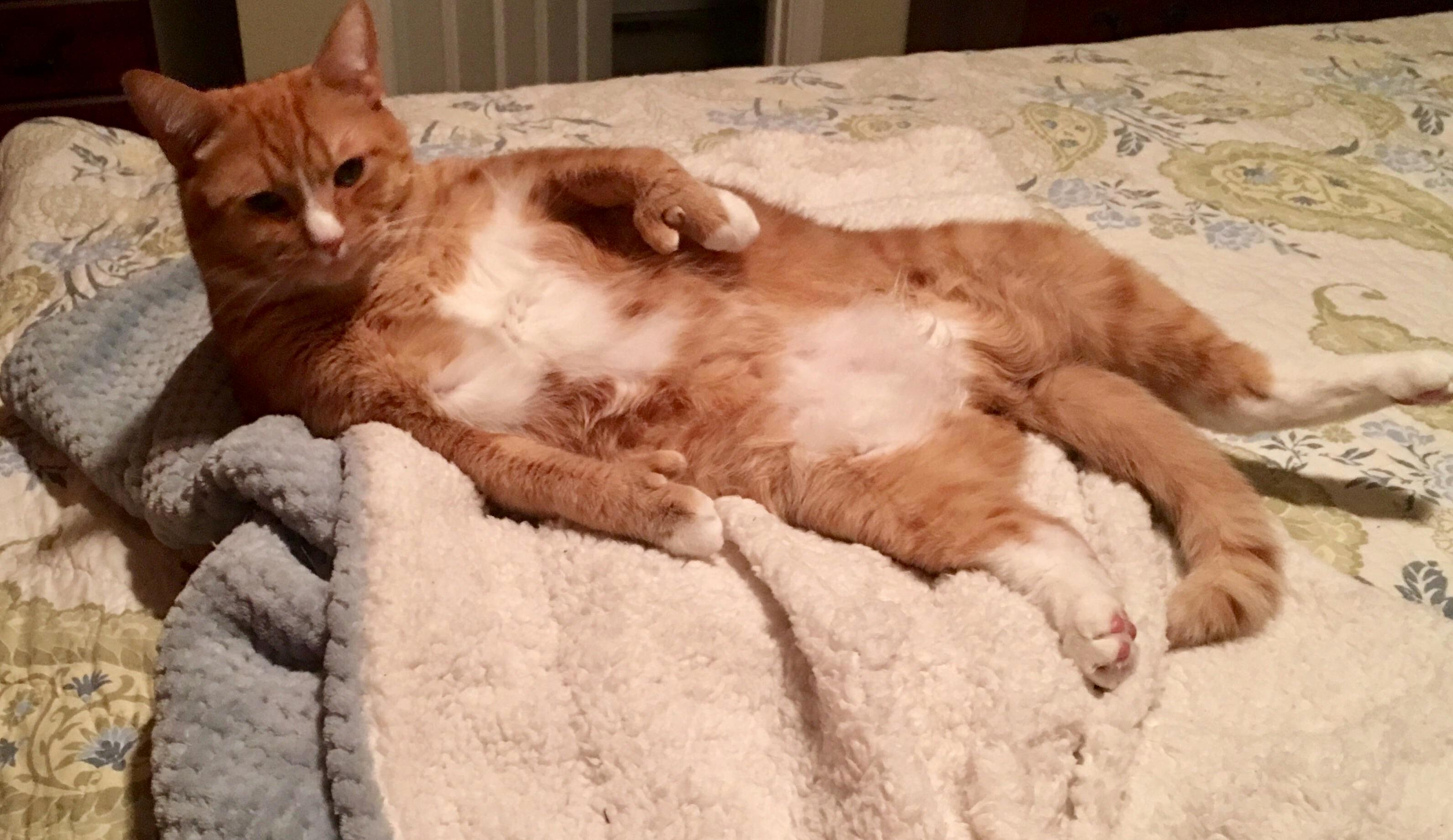 Why Hello Ladies Oh I See You Noticed My Thumbs.