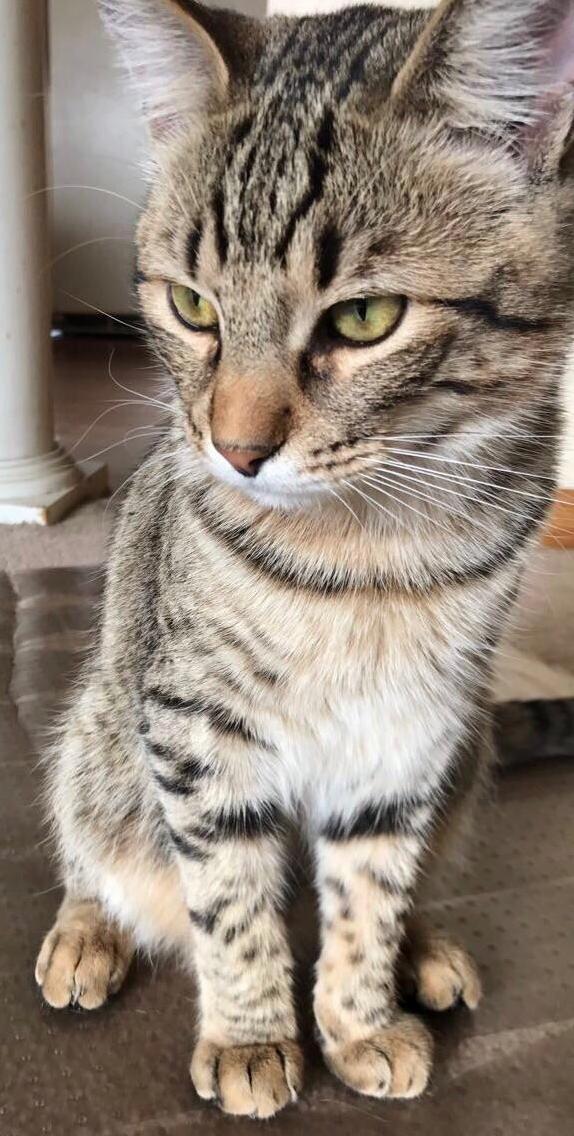 Why So Serious