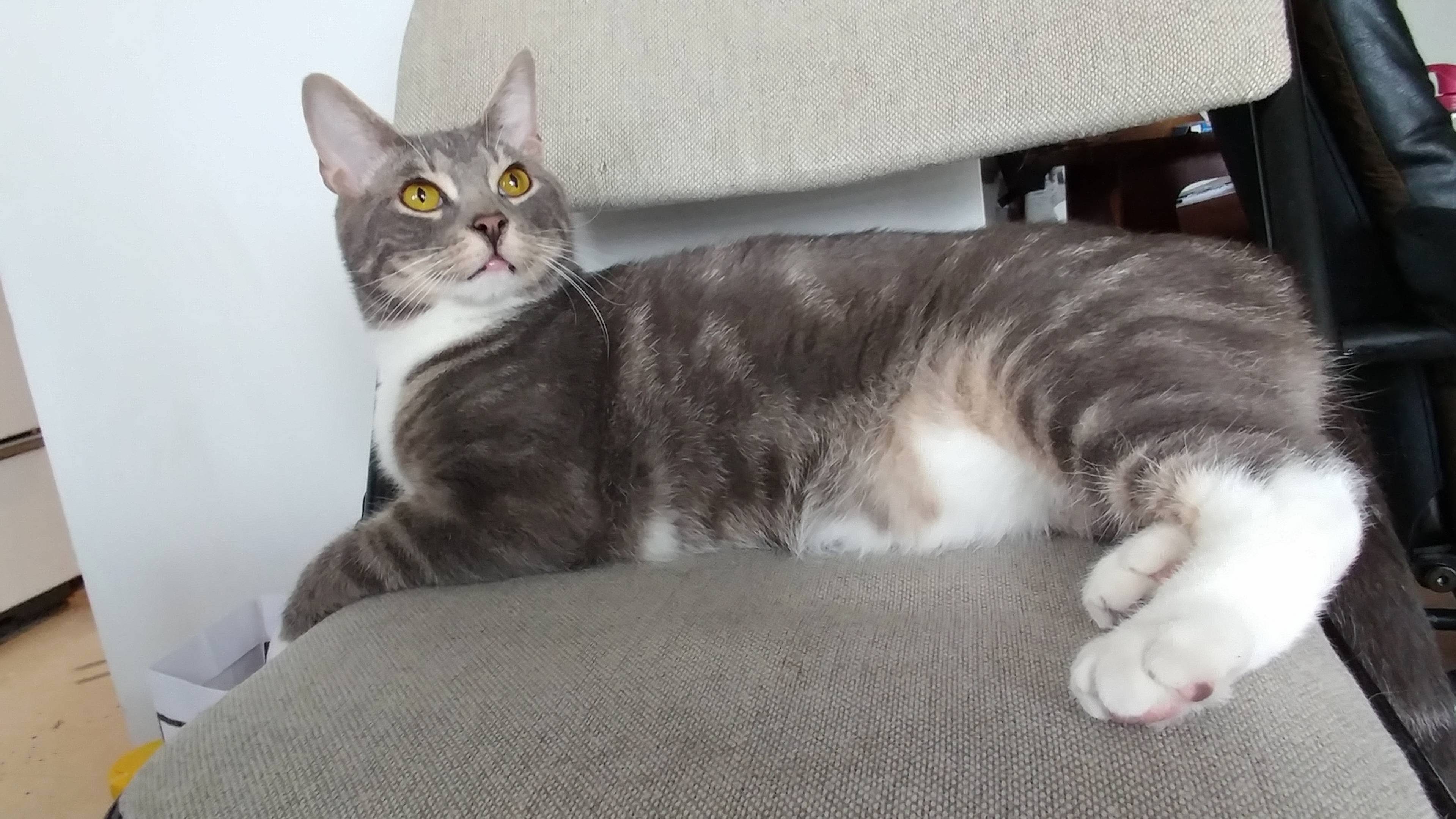 Willis Wanted to Show Off His Good Looks for