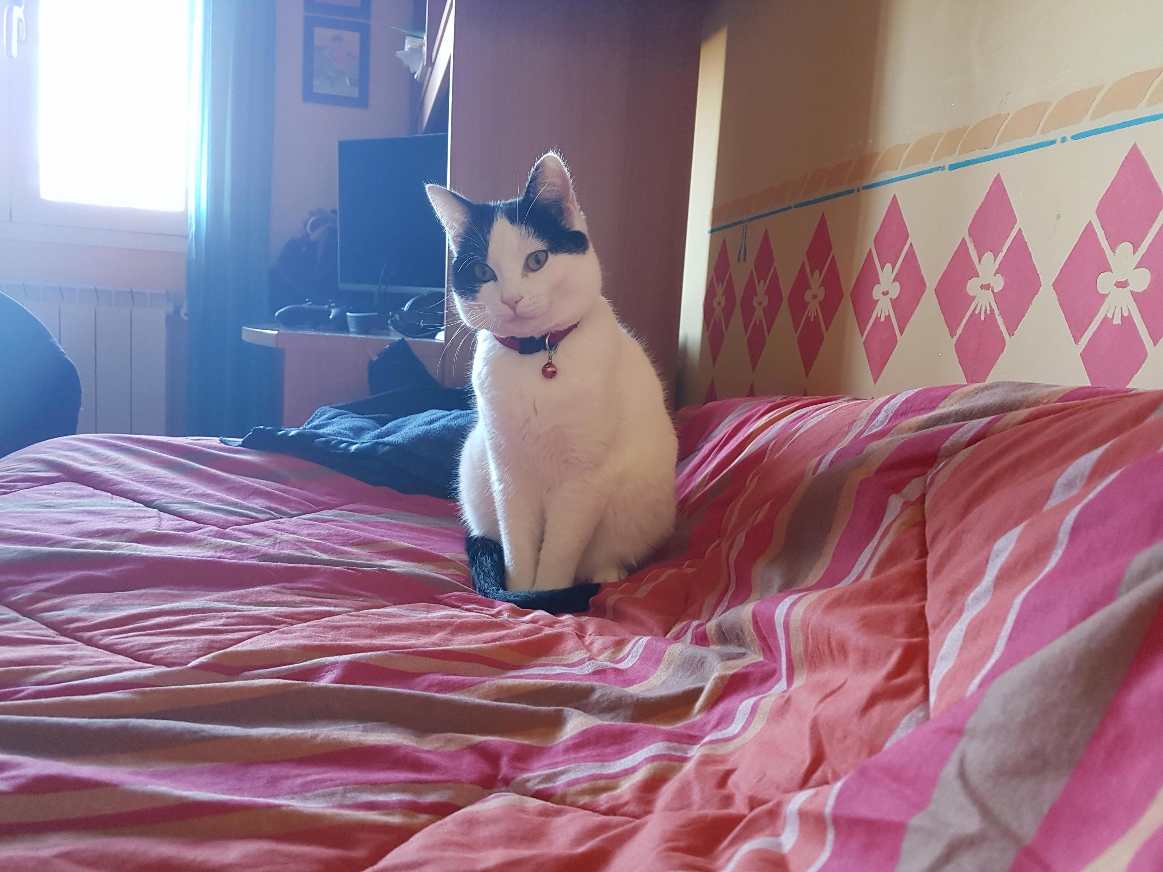 Woke Up to This