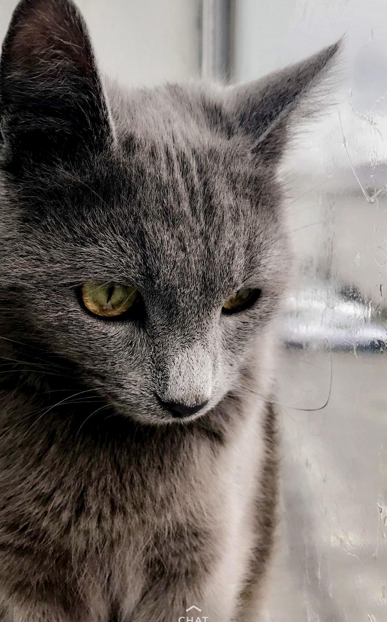 Wondering When Her Husband Will Return from War