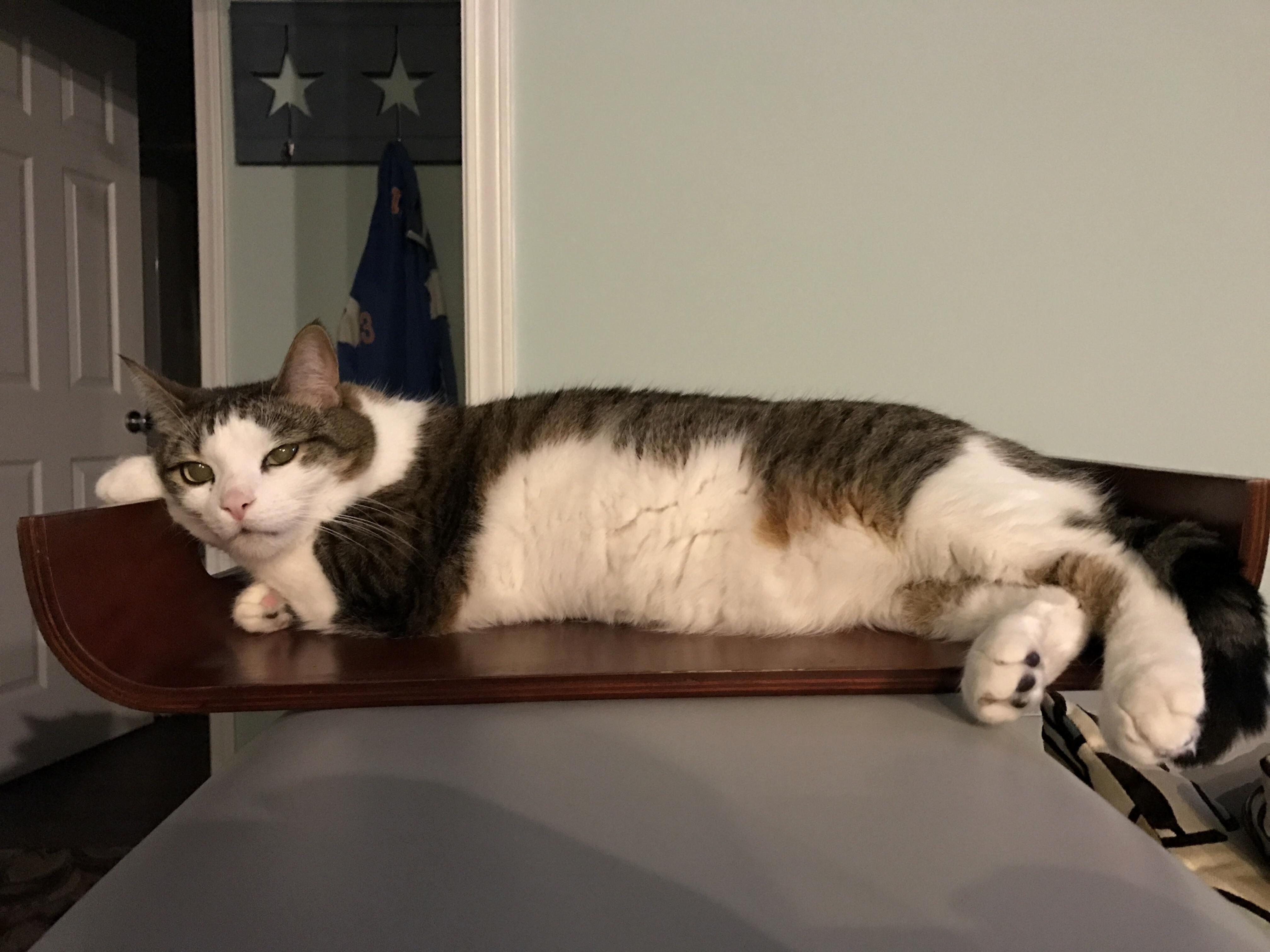 Yessssssss Im Very Comfortable Thank You